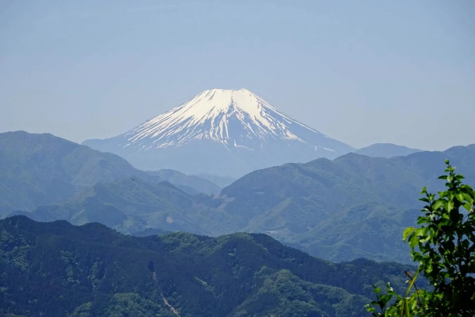 Takao様 確認用（高尾山のムササビ観察スポット。夜によく見かける 