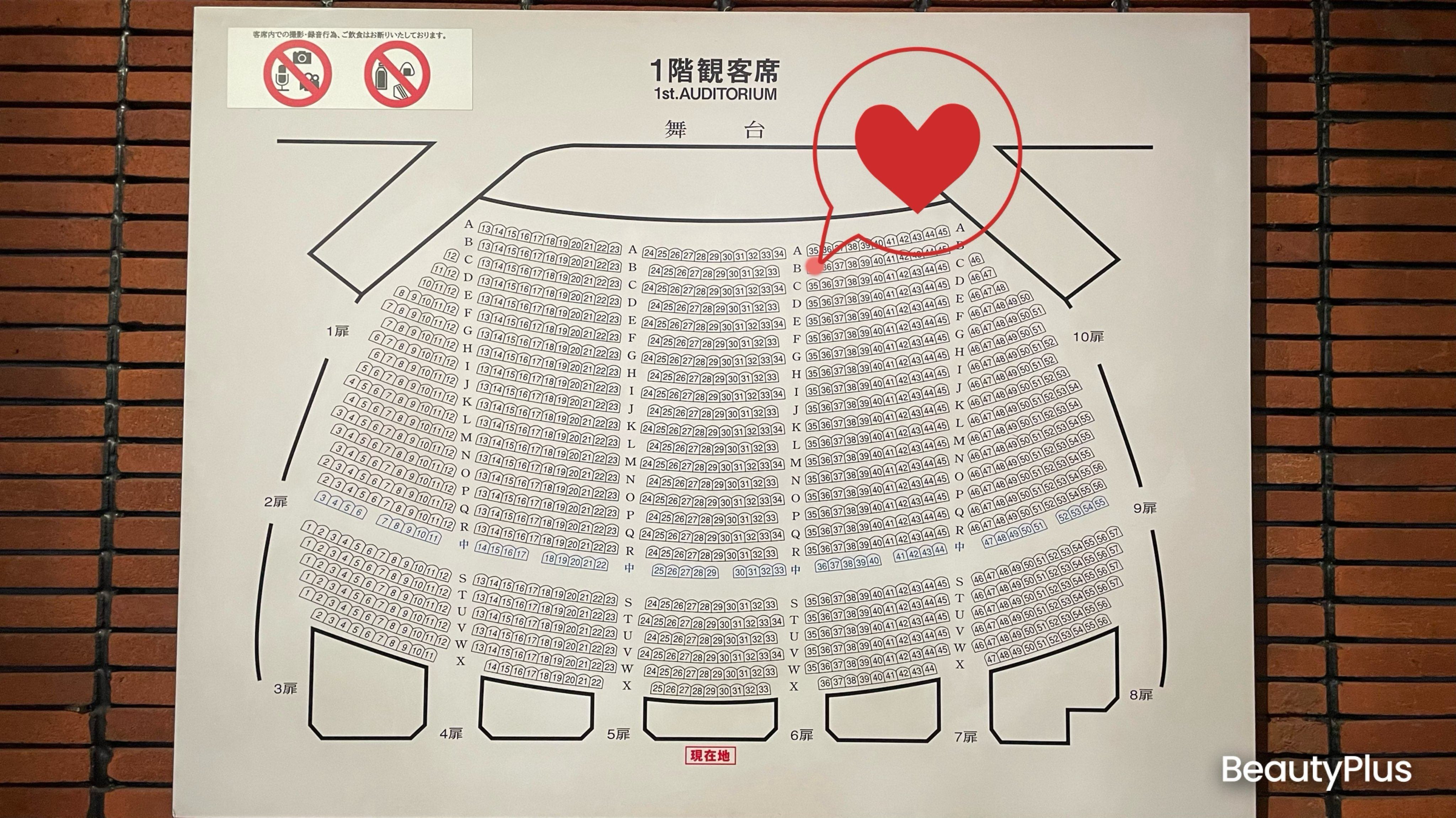 Endless SHOCK」レポート（帝劇2024.5.15昼）｜陽花