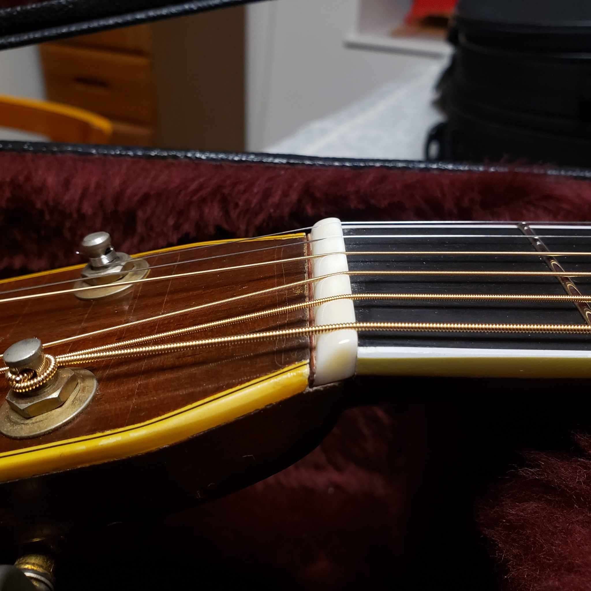 アコギは常に変化して（動いて）いる！」「サウンドメッセ2024に