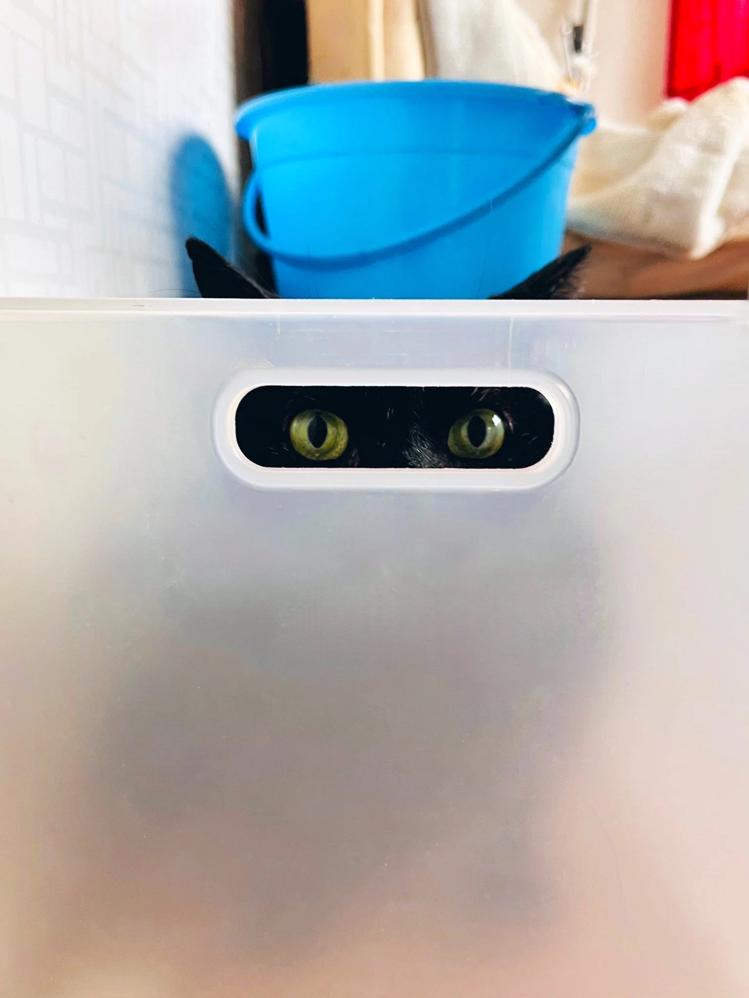 ディスプレイ(猫ちゃんのせいで、カバーに少し傷がありますが、中身は問題ないです) 収納ケースの穴からこっそり覗いている黒猫ちゃん、隠れてるみたい