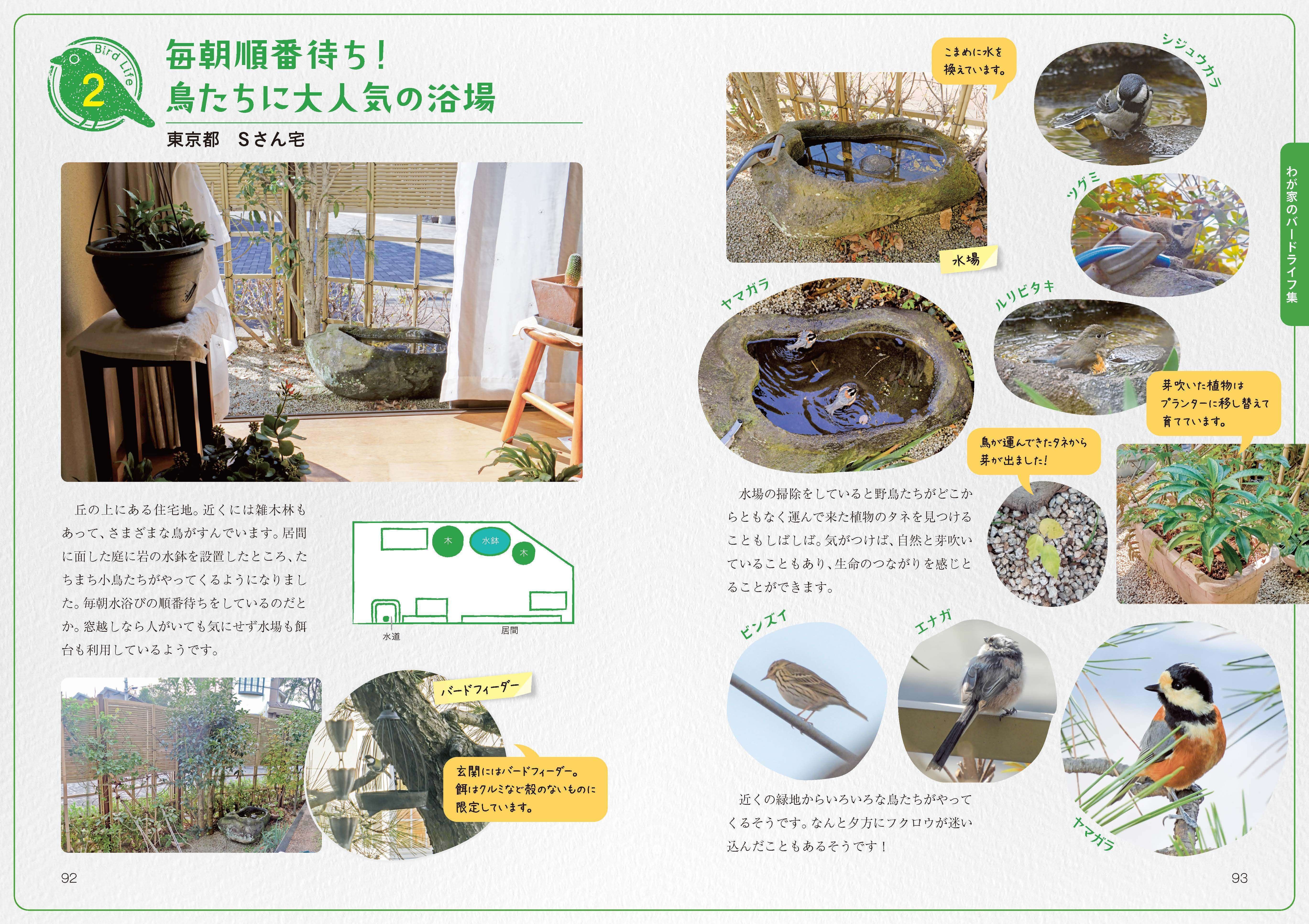 窓辺に作るバードガーデン—庭に呼ぶ野鳥たち (日曜日の遊び方) 窓辺に作るバードガーデン: 庭に呼ぶ野鳥たち (日曜日の遊び方