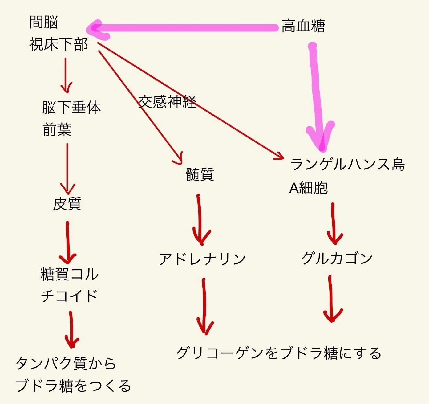 公の場での発言・インタビュー報道記録