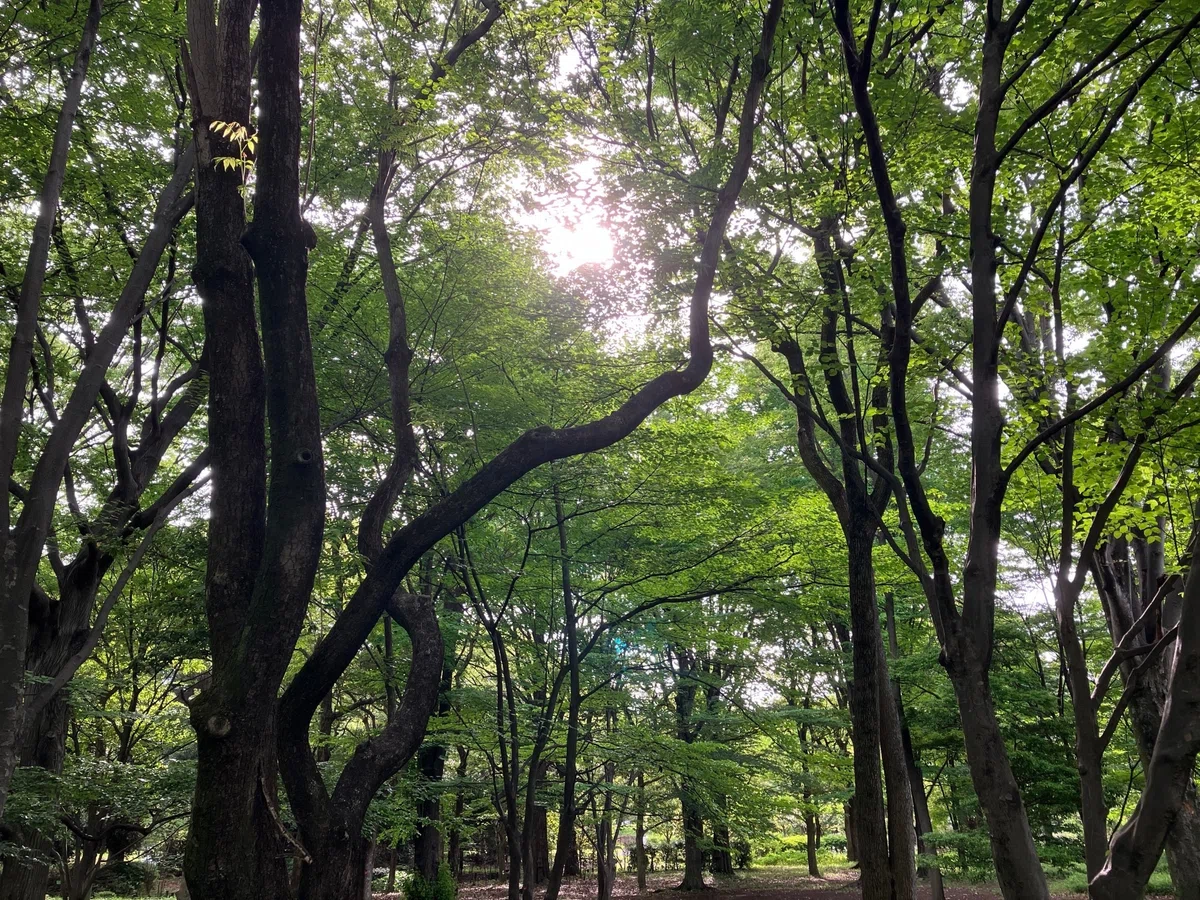 画像