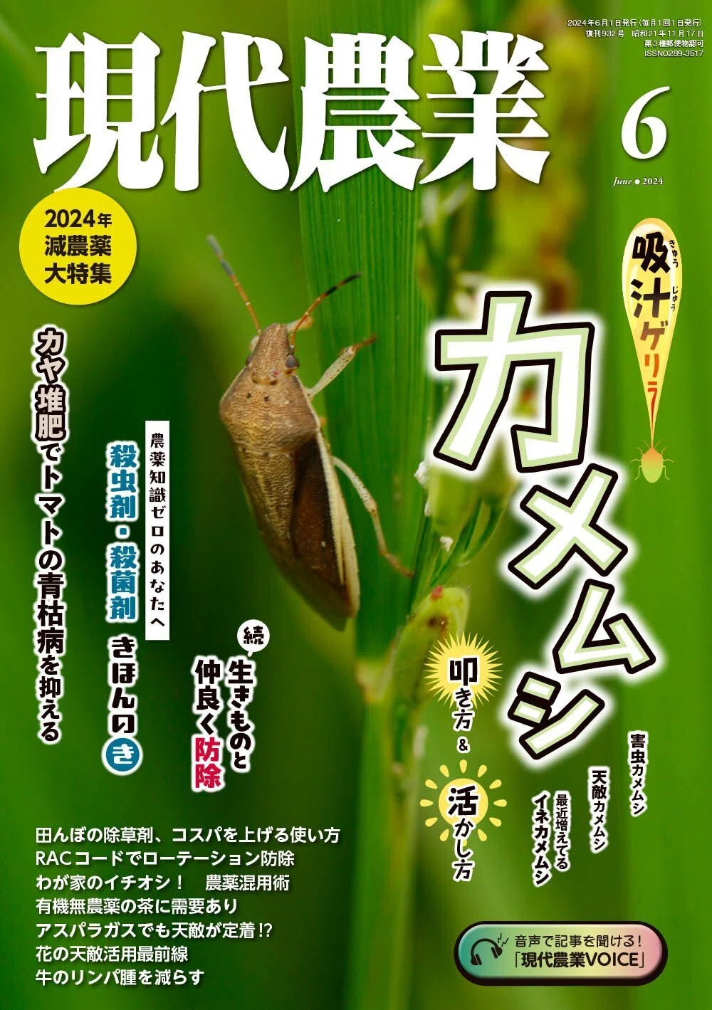 カメムシに関する書籍｜Doburockman