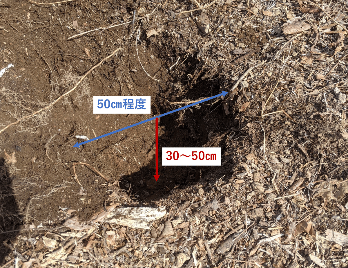 ハゼノキの里山記録② ハゼノキを植樹しよう!|ハゼノキめぐる ハゼノキの里山記録② ハゼノキを植樹しよう!|ハゼノキめぐる