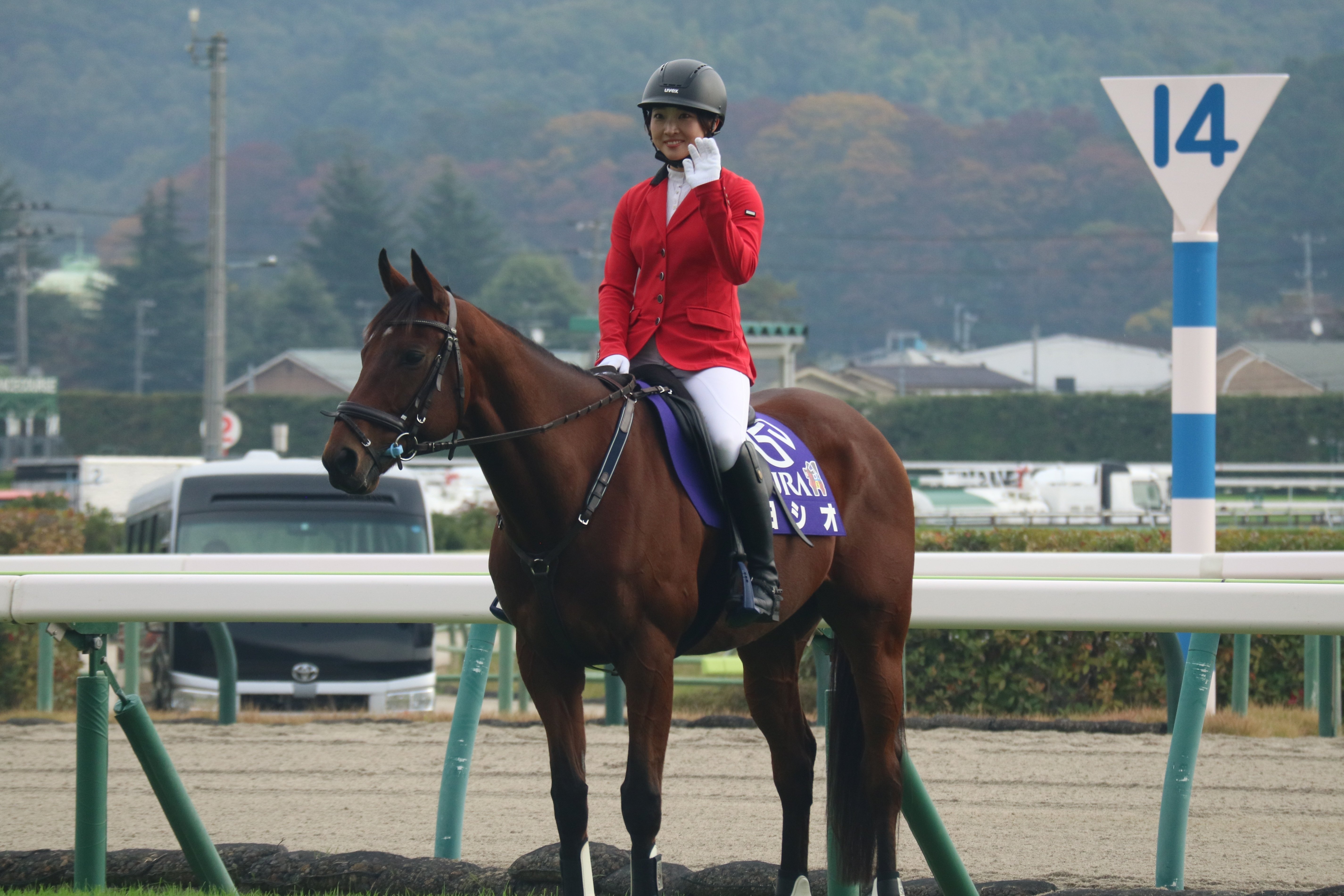 ありがとうヨシオ｜さめはん