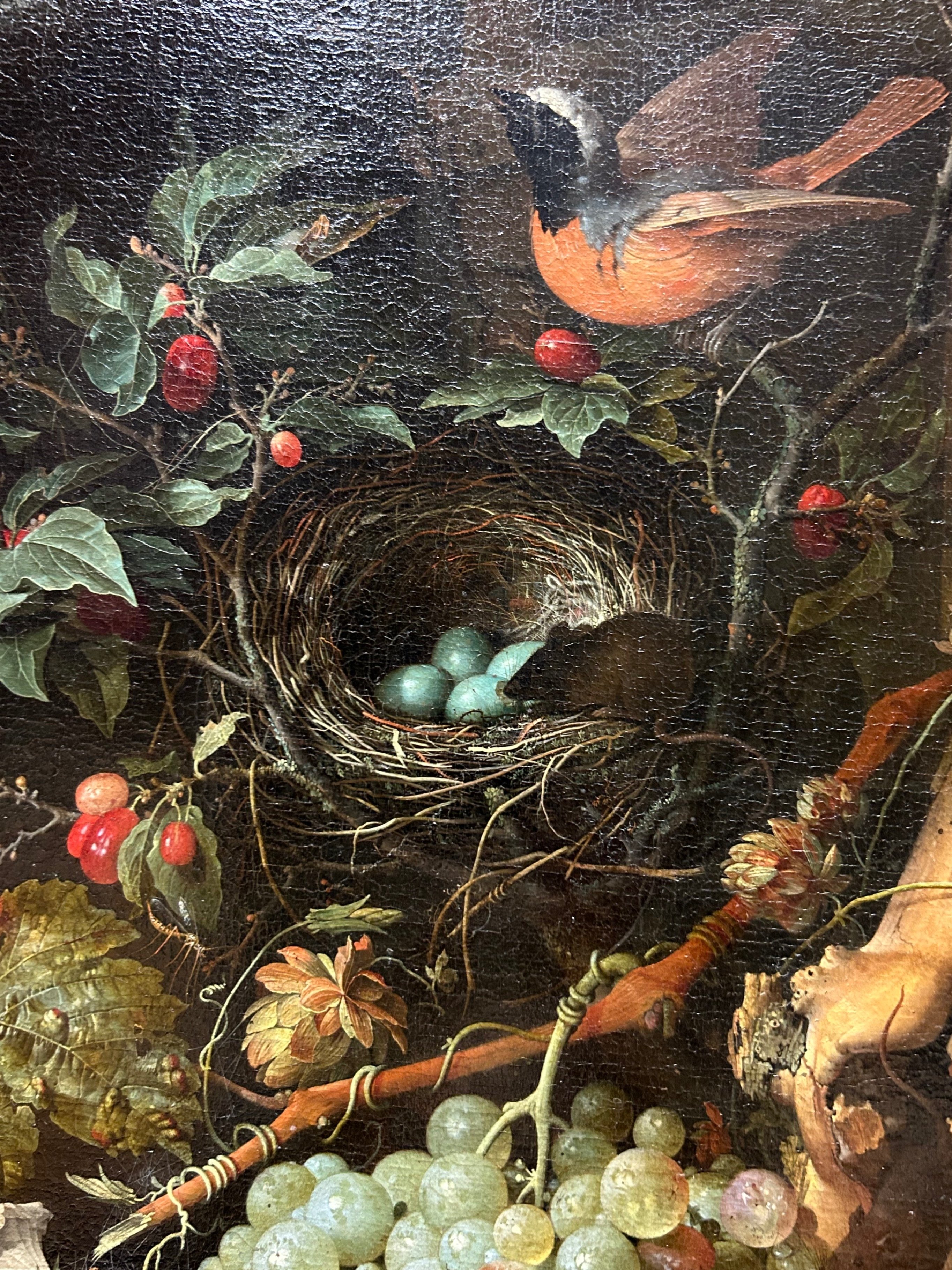 子供のためのルーブル美術館(113)つやつや果物の秘密、実は