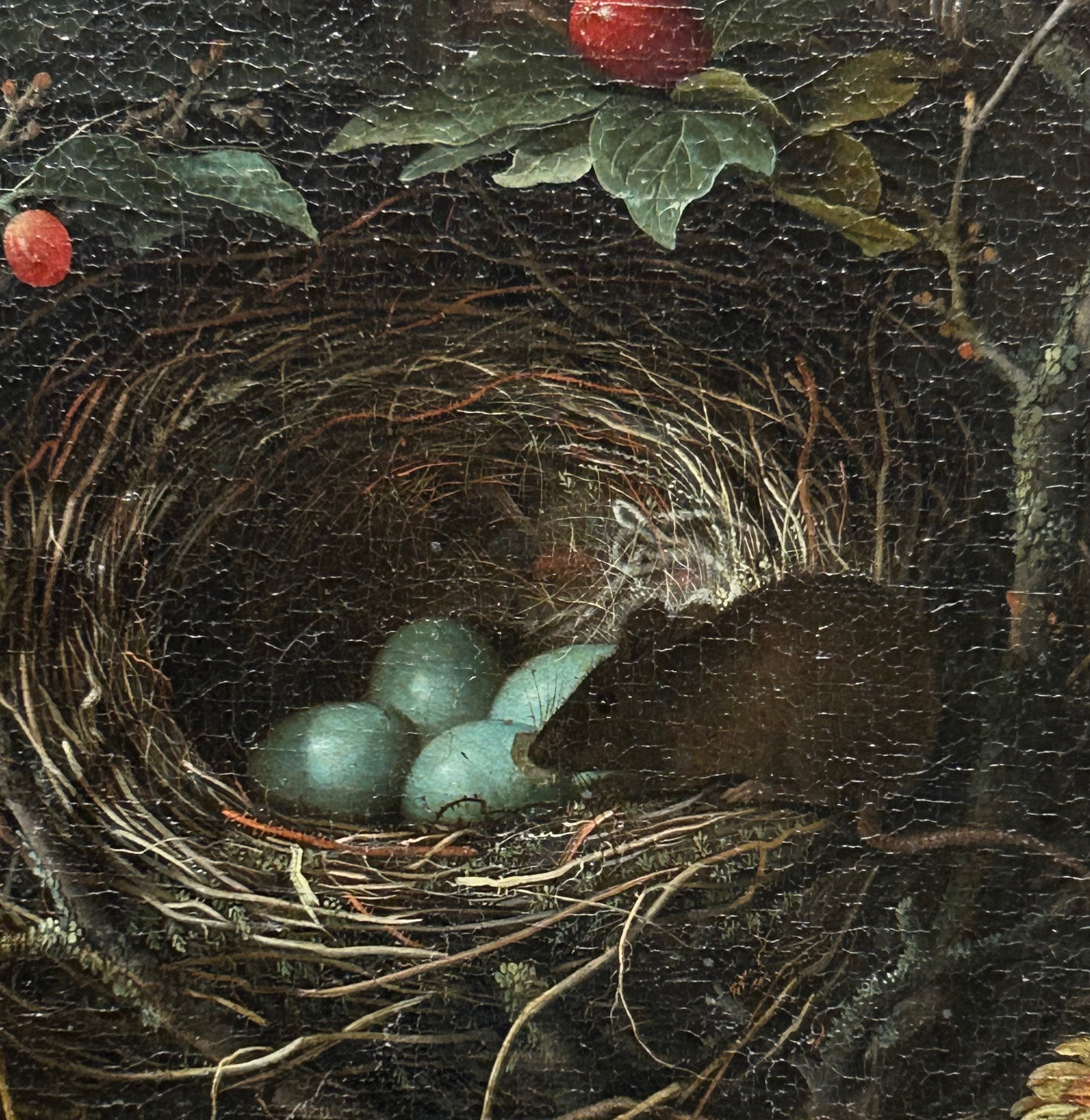 子供のためのルーブル美術館(113)つやつや果物の秘密、実は