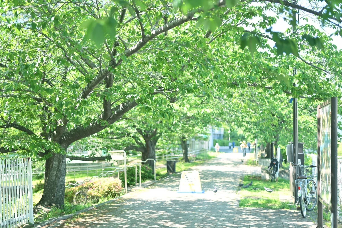 画像