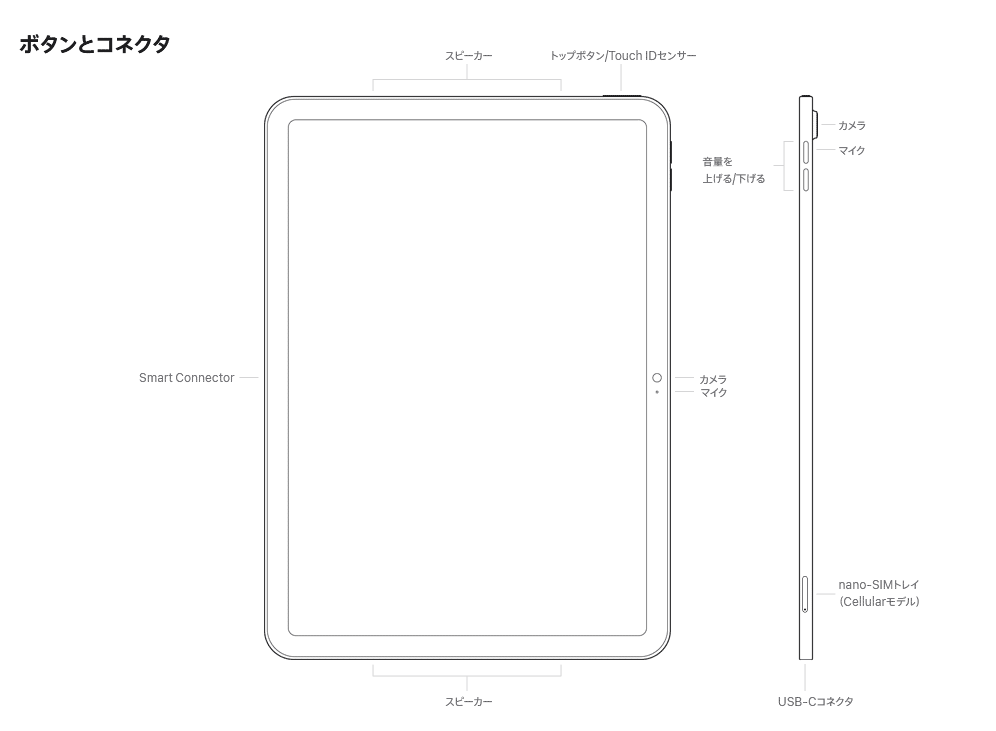 今度こそiPad第11世代(以降)はApple Pencil第2世代に対応する可能性を