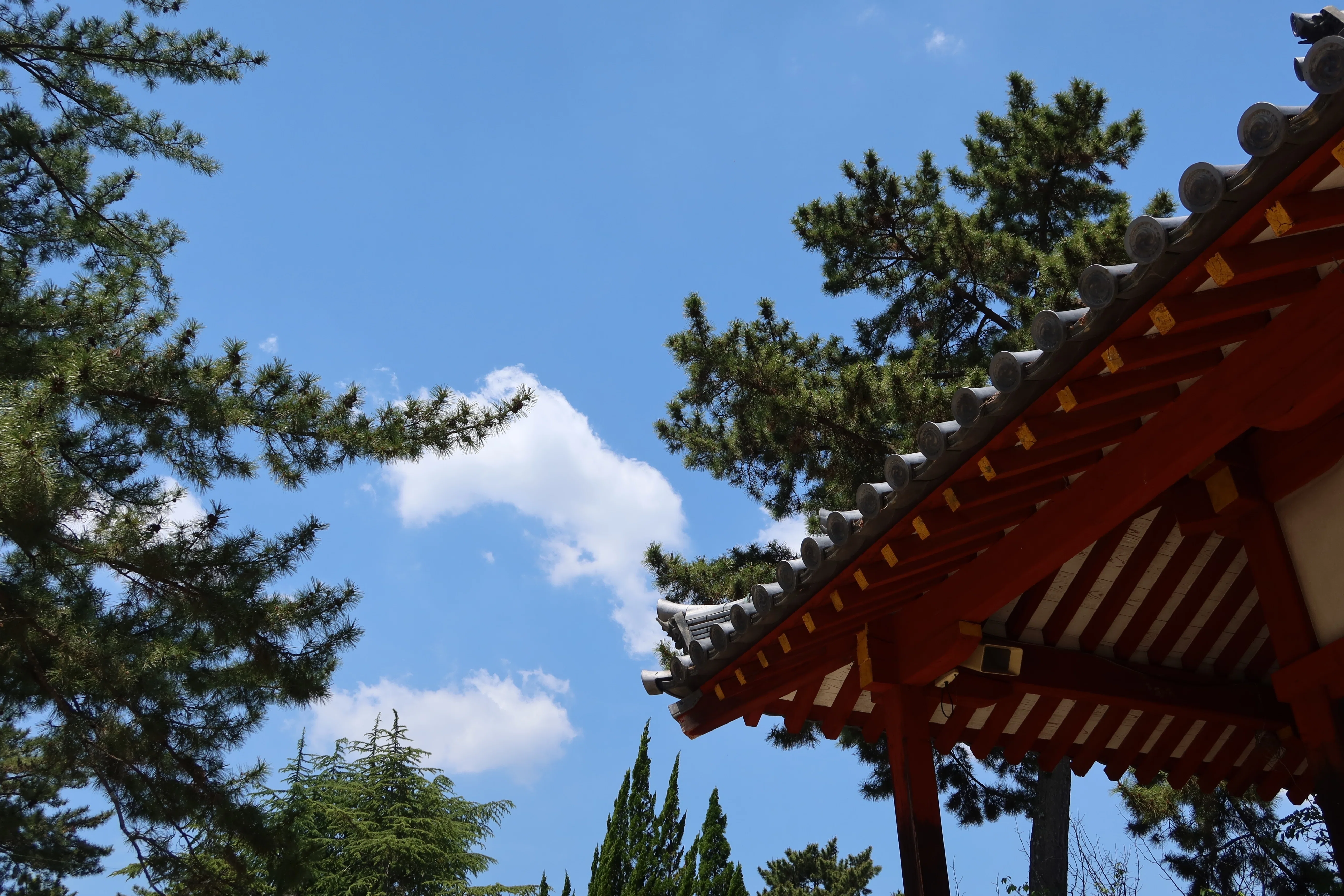 あをによし 西の大寺【西大寺】奈良あるき｜kumokichi