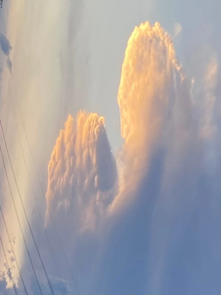 みあげる空 足元より空を見上げるのは.｜Ms'HIRO