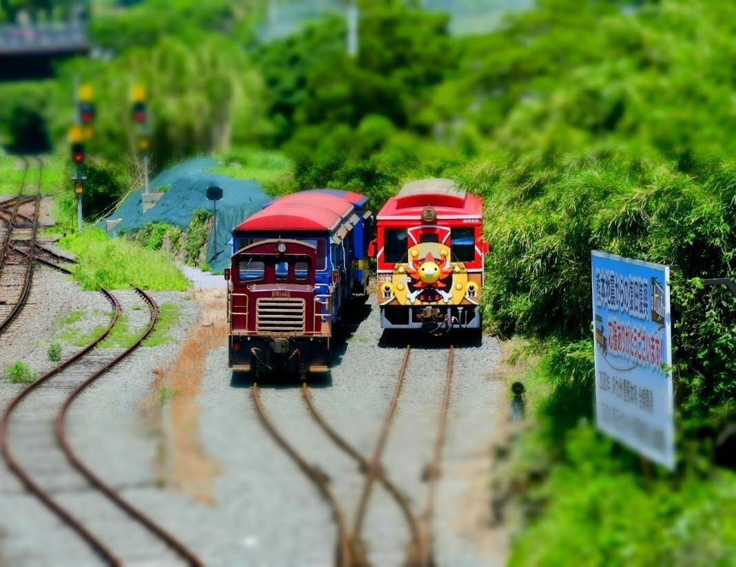 ☆トロッコ列車とサニー号トレイン♪｜たかしママ