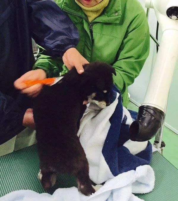 画像