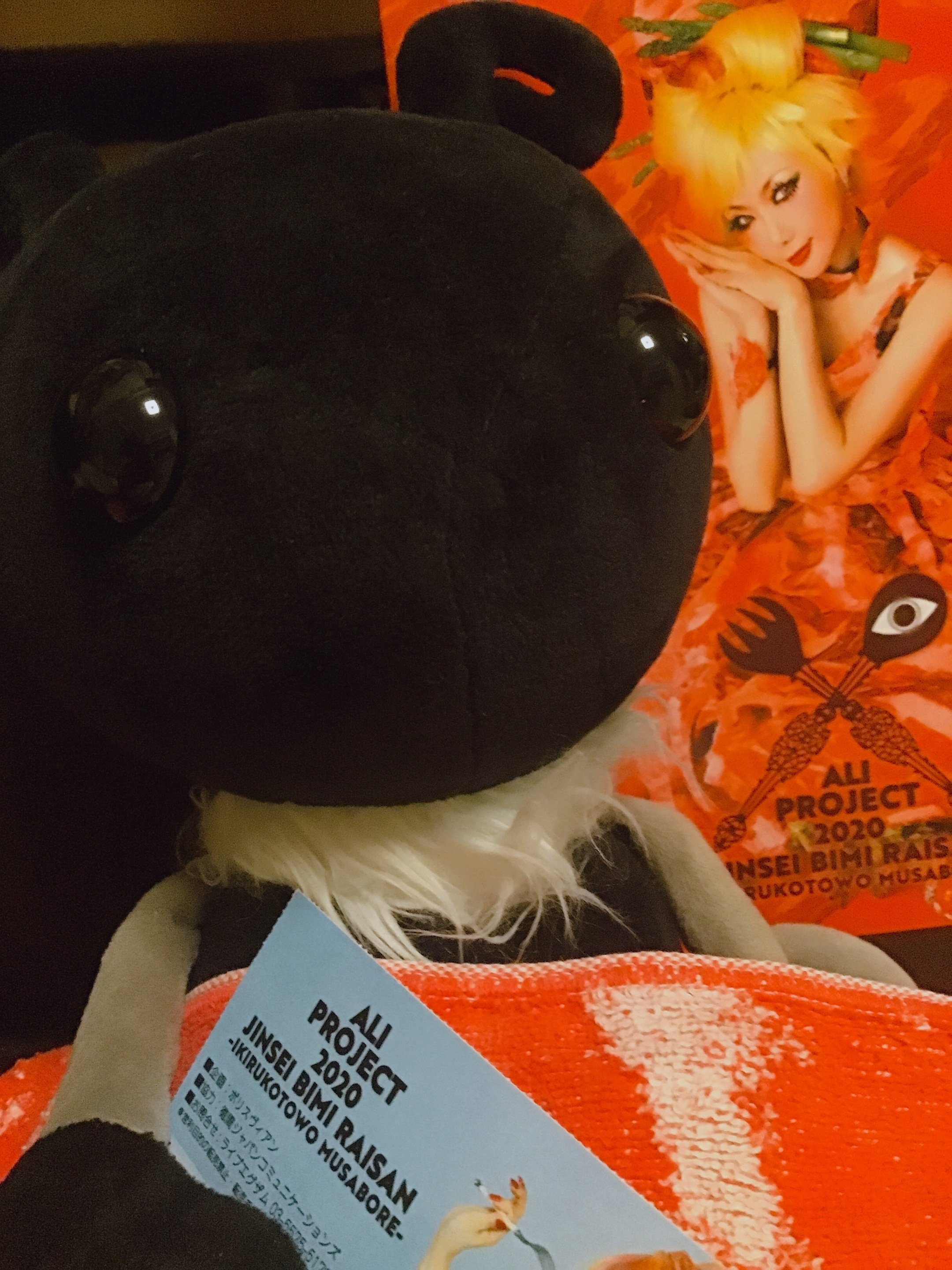 ヲタ活ログ：ALI PROJECT｜もっつ時々ひばな