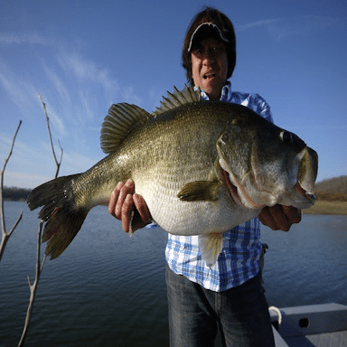 怪魚釣りスーパースター列伝｜村田基｜Review｜志村まうしろ