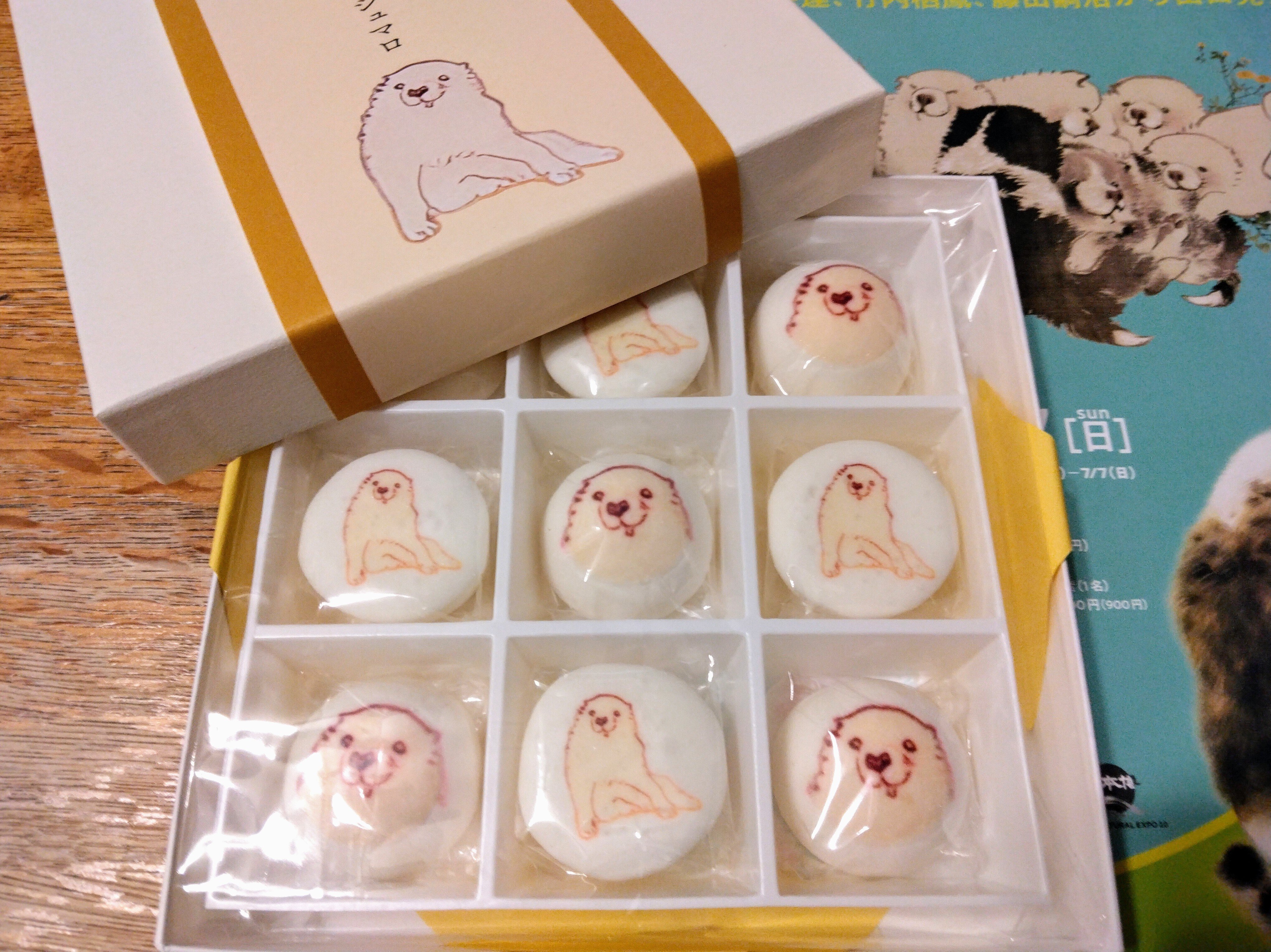 猫派であり犬派さま専用　ラック 屋根付き】 コンビネーションサークル P-CS-930V ウォールナット 犬