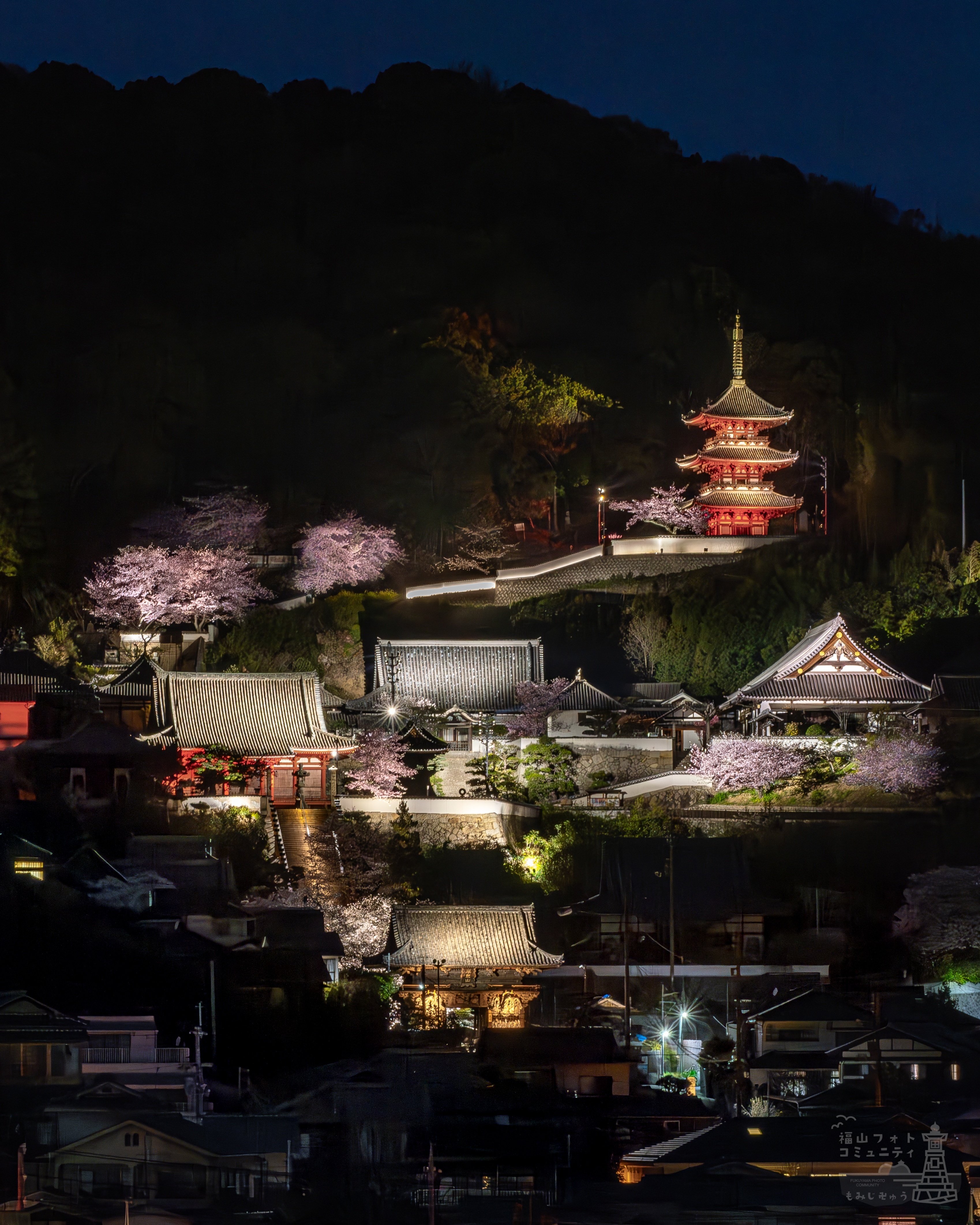 手ブレに強いOM SYSTEM｜もみじ卍ゅう/写真愛好家