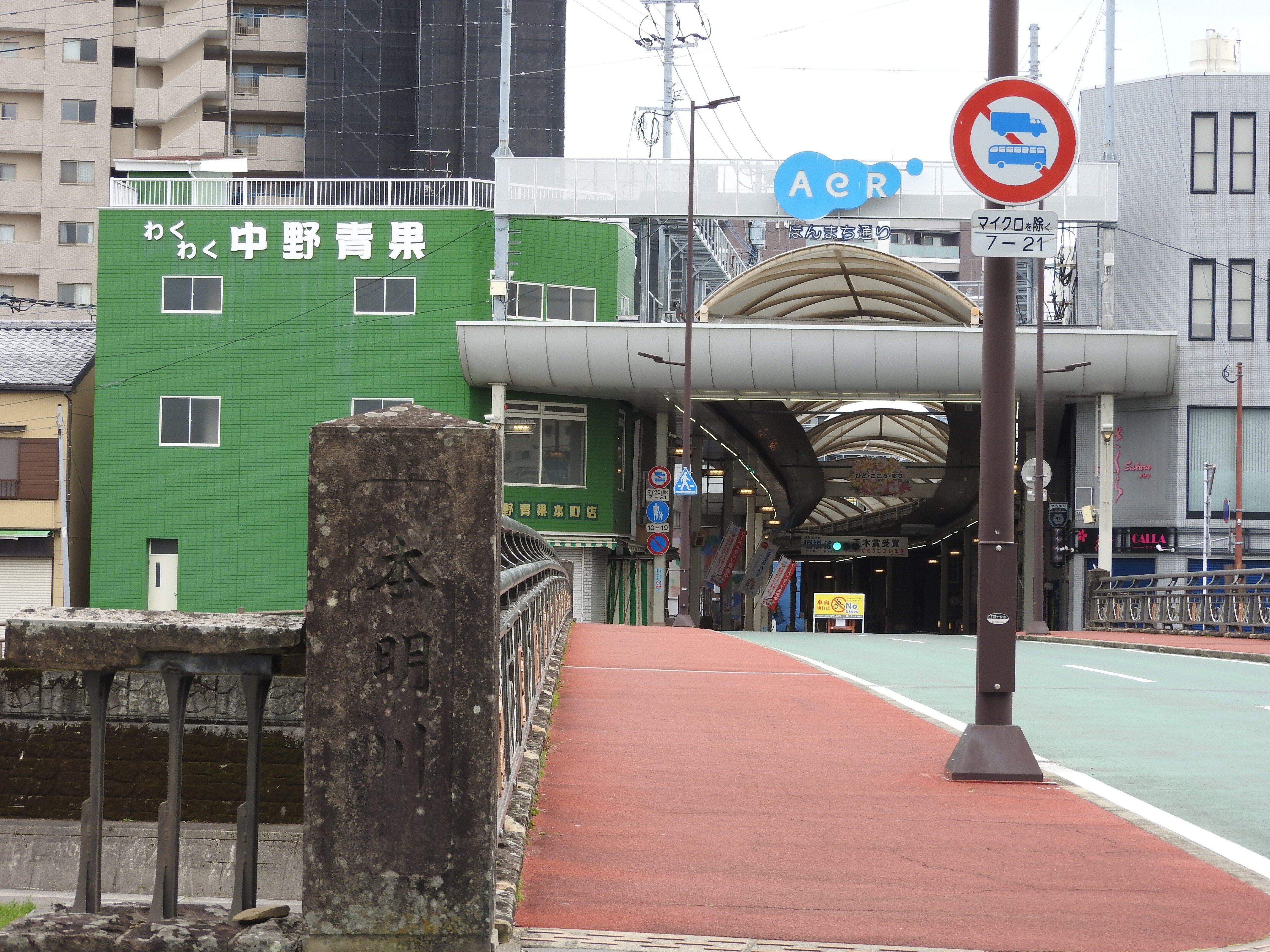 諫早様① Nissan 84-89 300ZX Door Panels – Spinnywhoosh Graphics