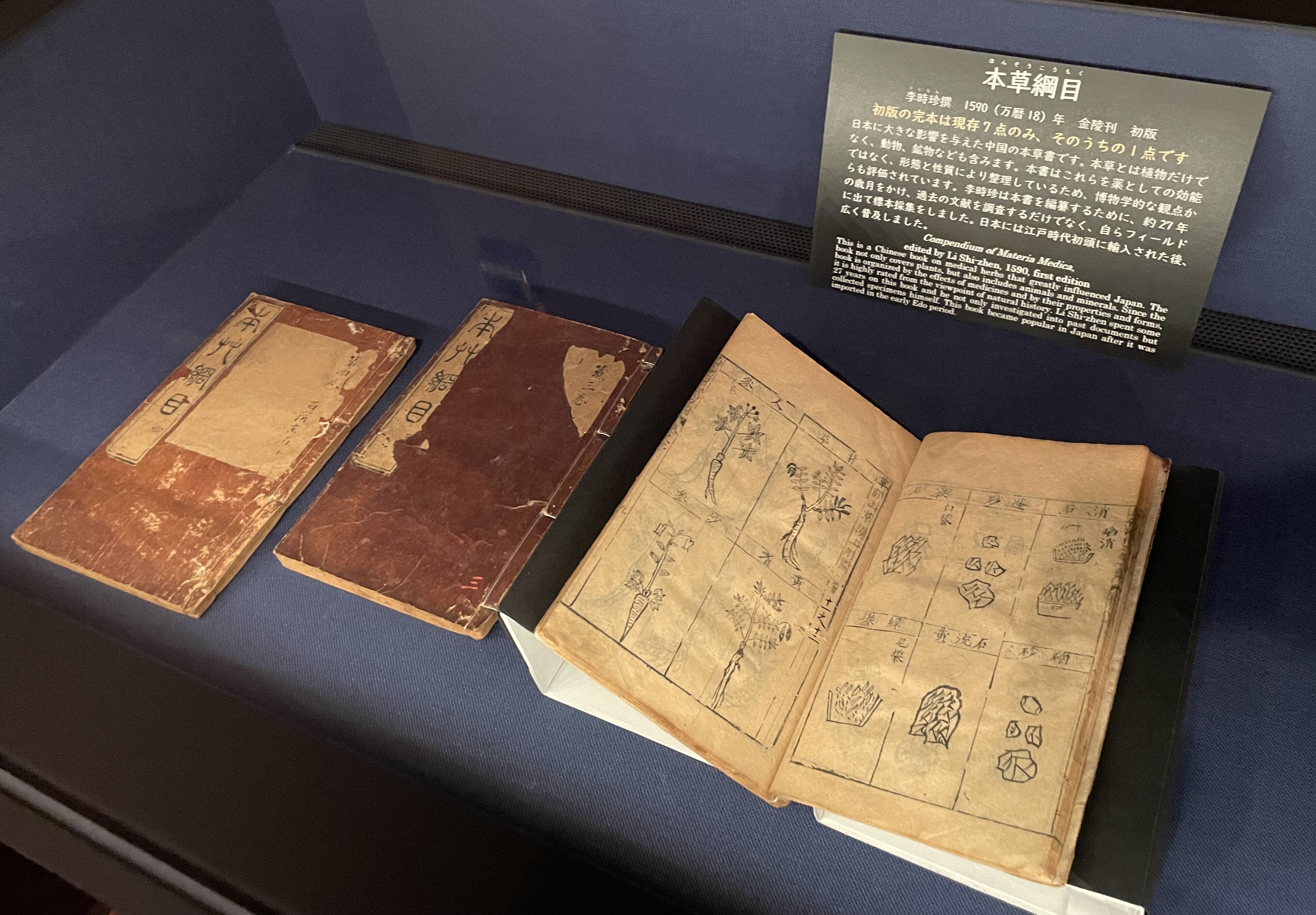 日本の博物図譜: 十九世紀から現代まで (国立科学博物館叢書 1