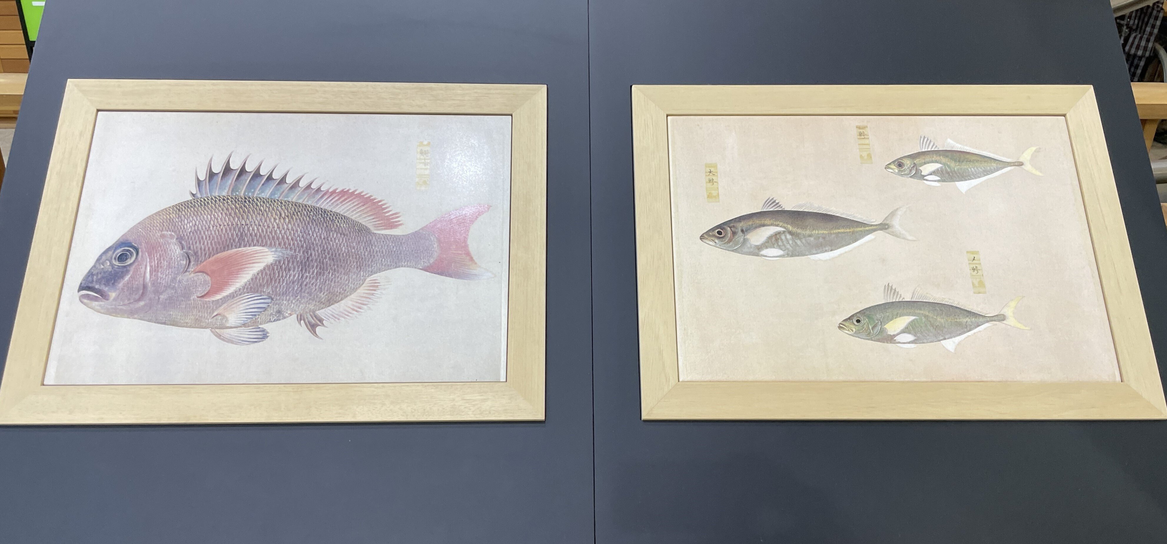 【真作】川村憲邦/鮎図/アユ図/香魚図/横物/掛軸/名家伝来/AD-760 真作】川村憲邦/鮎図/アユ図/香魚図/横物/掛軸/名家伝来/