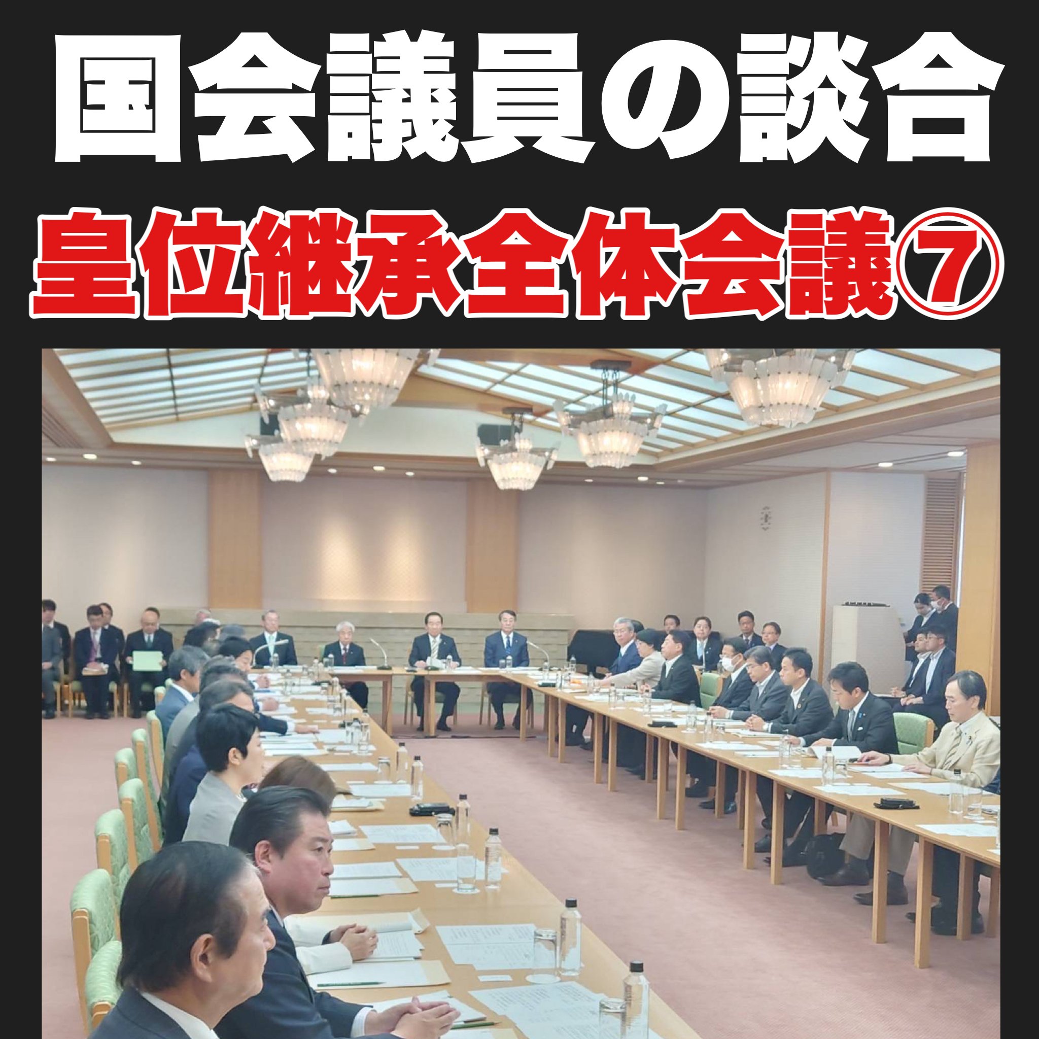 【国会は世論を無視!⑦】皇室典範に関する国会全体会議~教育無償化を実現する会の開陳意見|篠原由佳☆丙午女ゆるーくchから移転