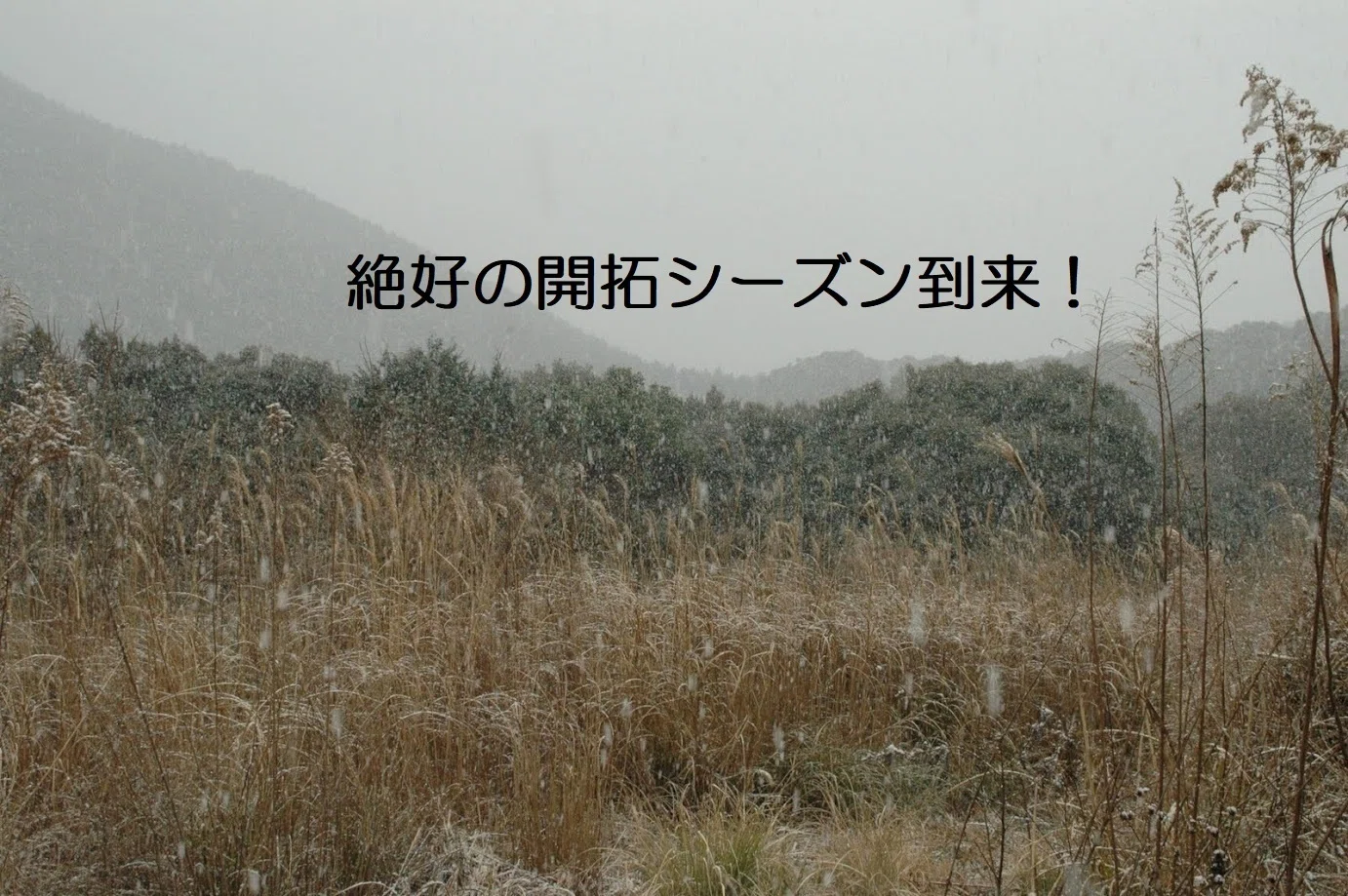 Starting New Development!｜しゅりの開拓物語