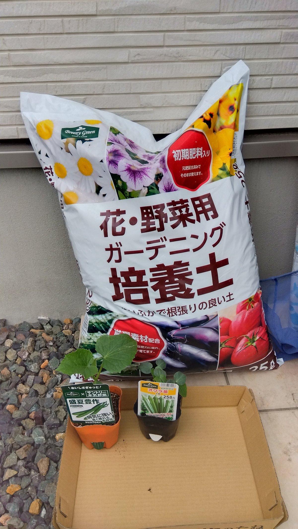 素人　家庭 