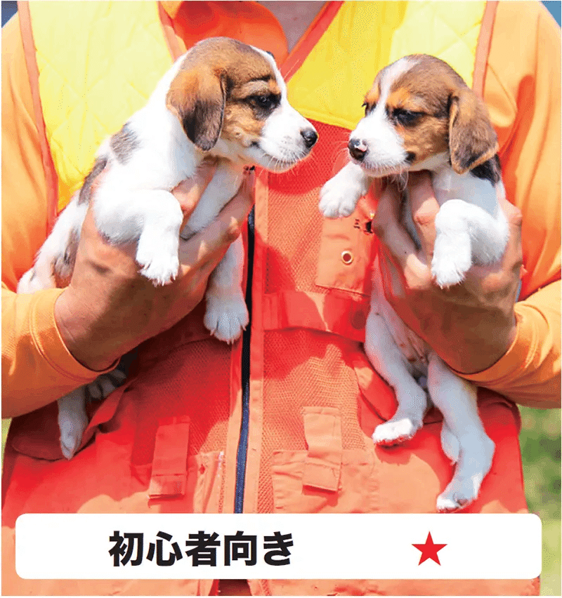 Amazon.co.jp: 犬種別 猟犬訓練法 15犬種の特性訓練使い方百科