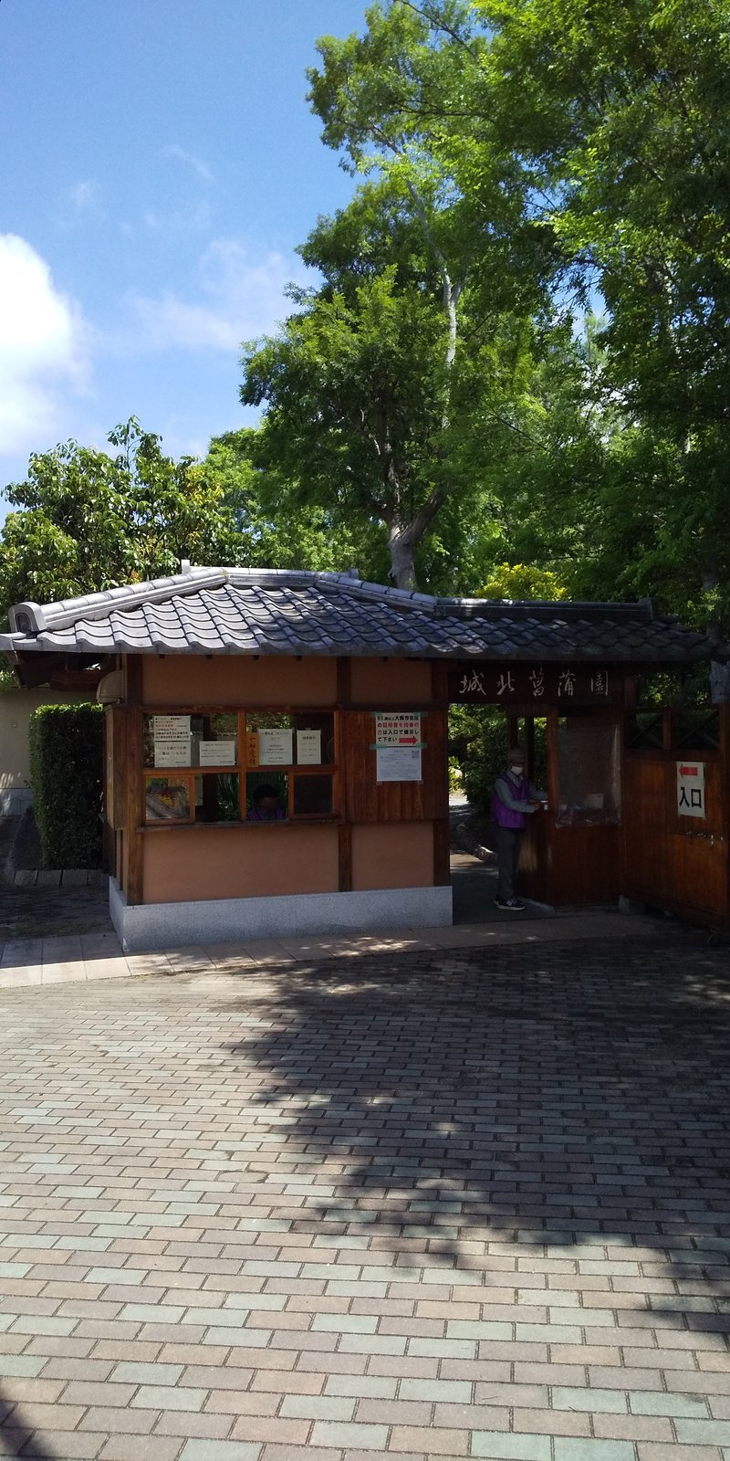 城北公園菖蒲園、５月下旬から６月上旬限定公開。入園料200円