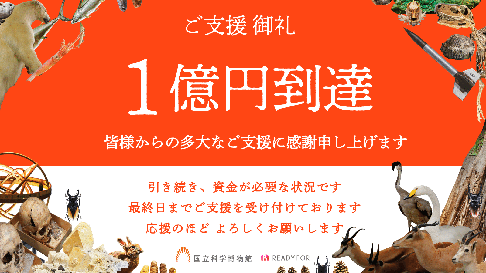 国立科学博物館クラウドファンディング|150日間と支援者データ 国立科学博物館クラウドファンディング|150日間と支援者データ