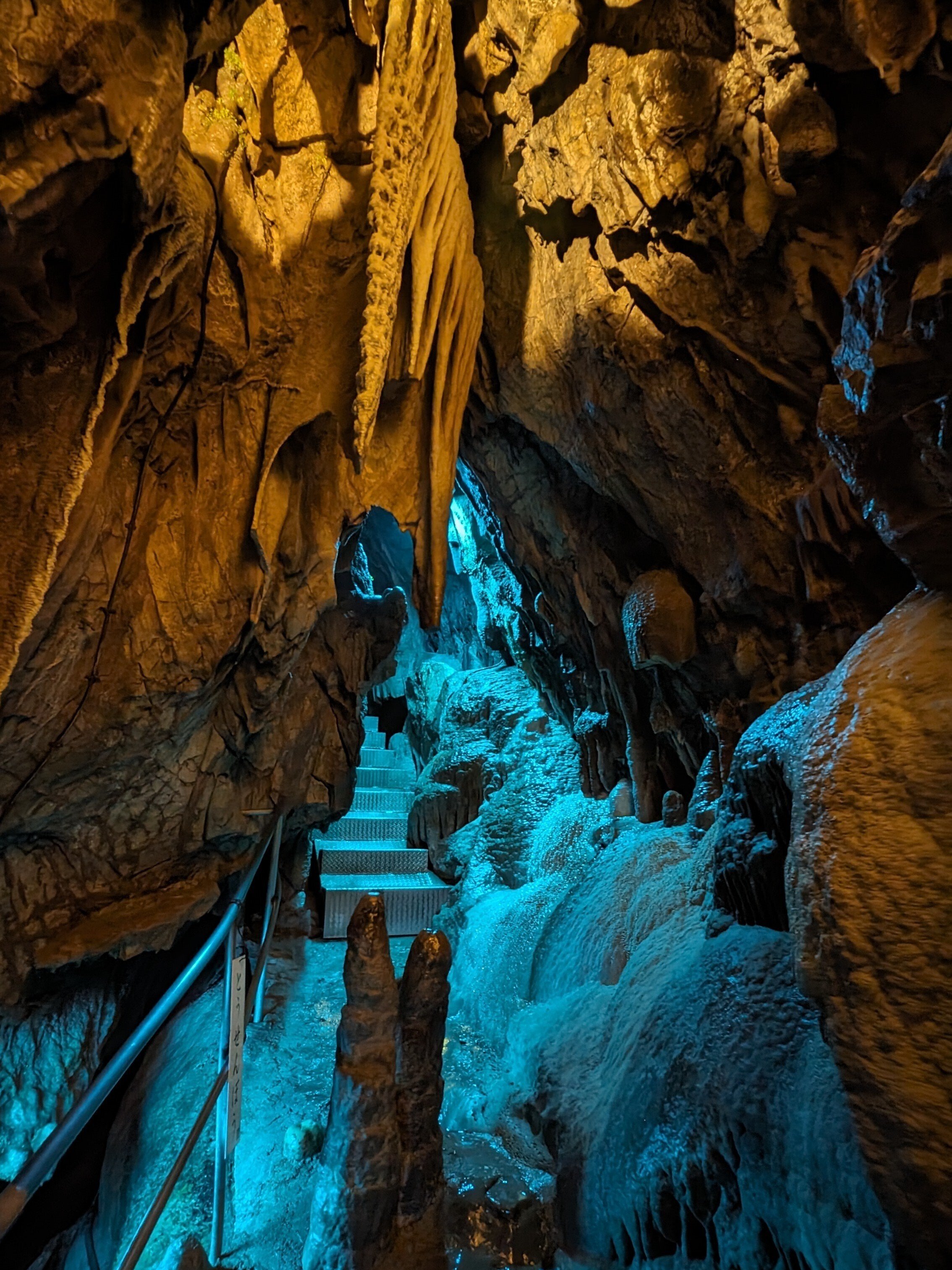 最近のおでかけ 【井倉洞，三保の松原など】｜tabirow