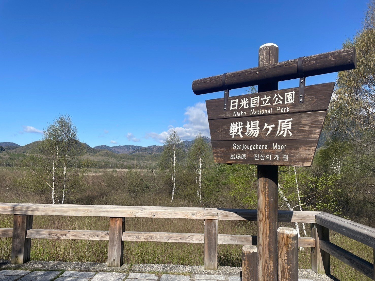 日光さんぽDay3】戦場ヶ原をハイキング！！｜葛飾区立日光林間学園