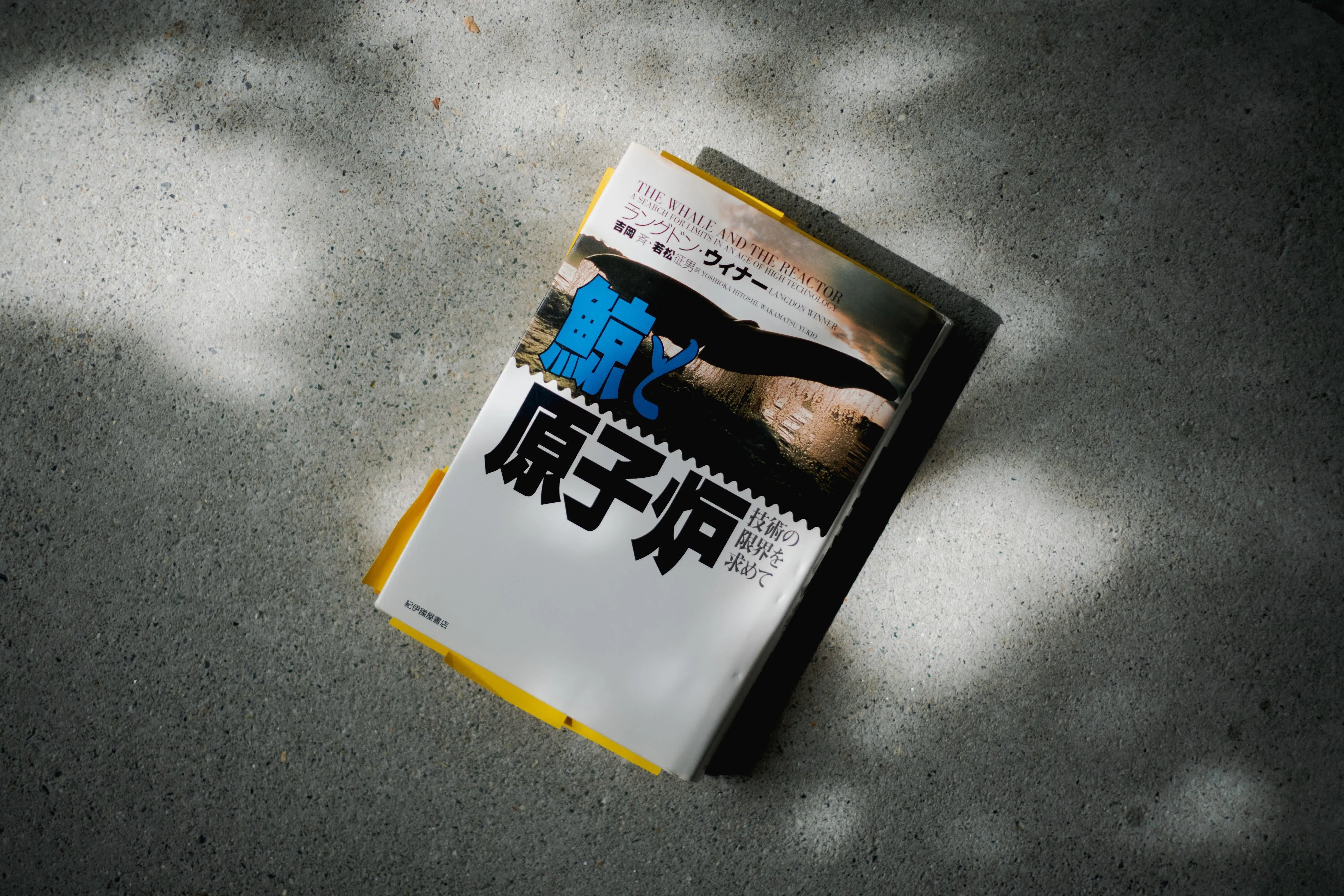 鯨と原子炉 技術の限界を求めて Amazon.com: Langdon Winner: Books