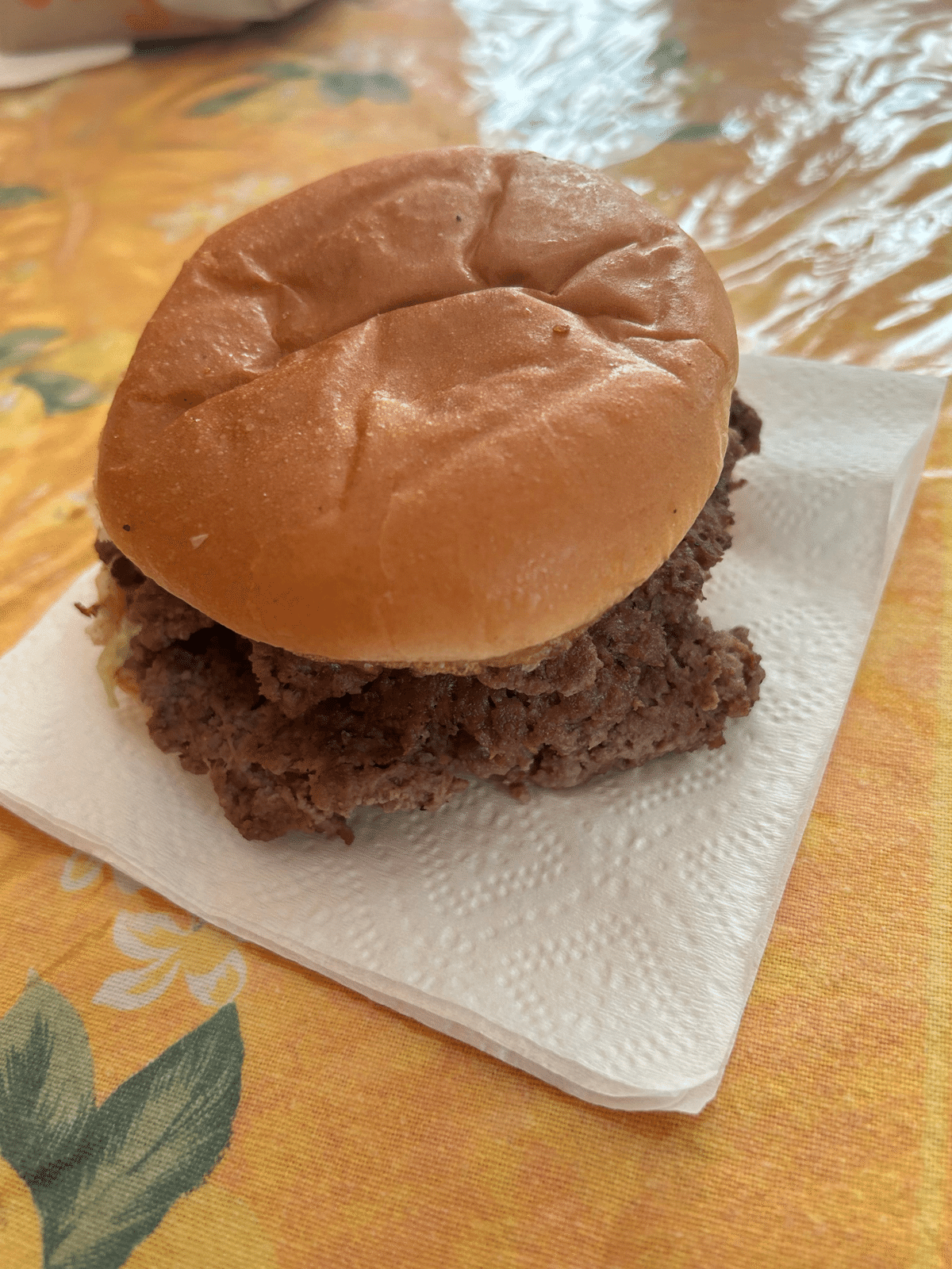 ハンバーガー　プロフ必読 アメリカ的ハンバーガー｜月森乙@「弁当男子の白石くん」文芸社刊