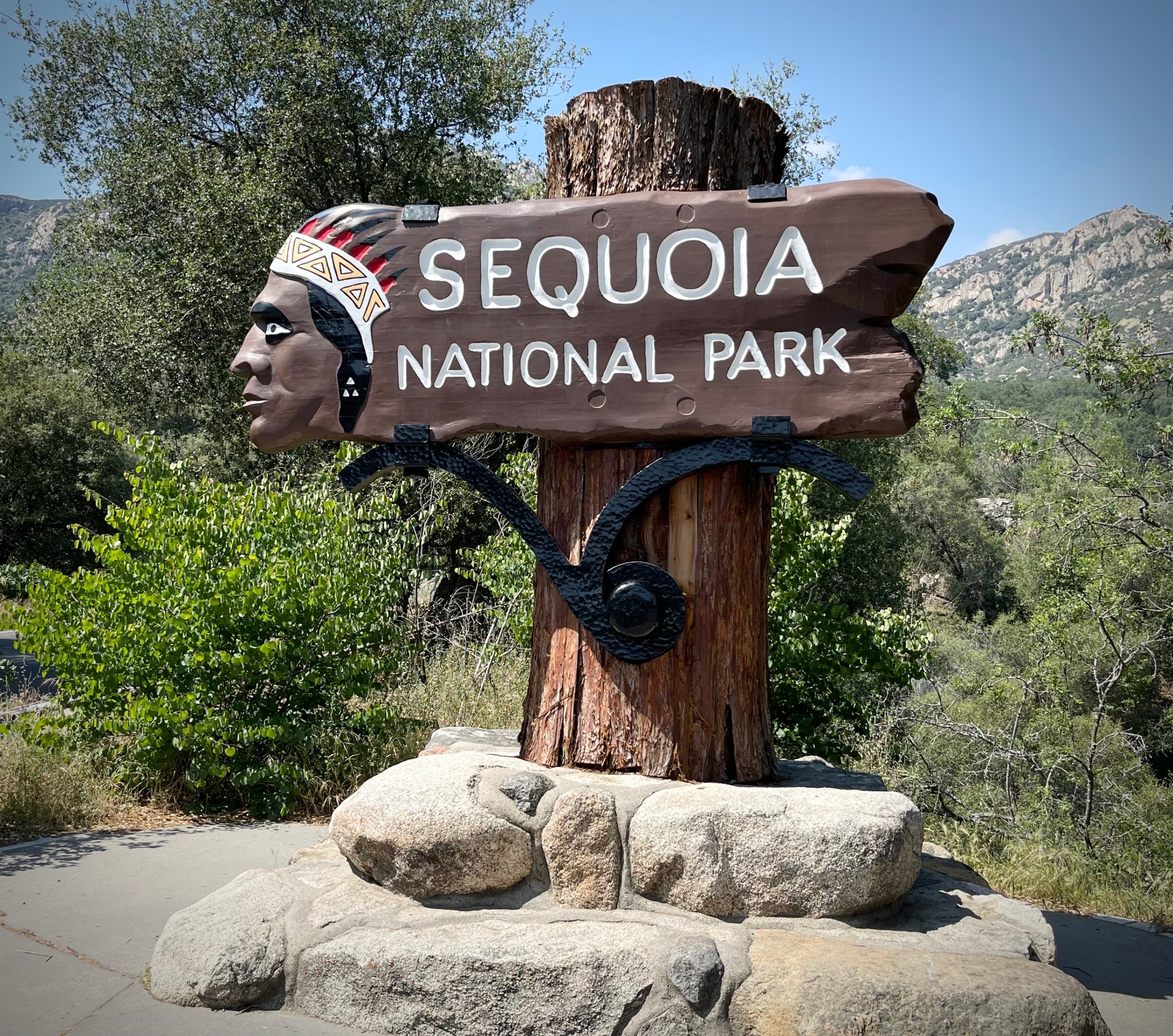 珪化木 メタセコイヤ アメリカ カルフォルニア産 φ890×t45mm｜珪化木