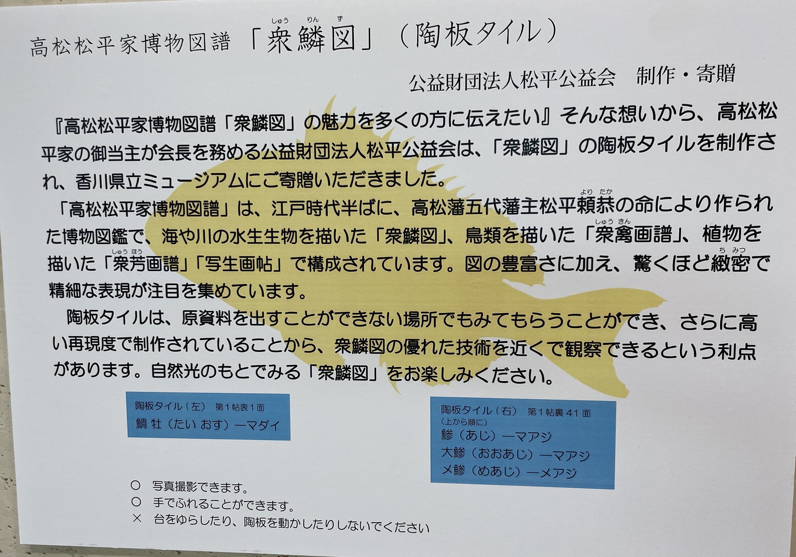 殿さまのスケッチブック：博物図譜いろいろ 永青文庫2 東京都