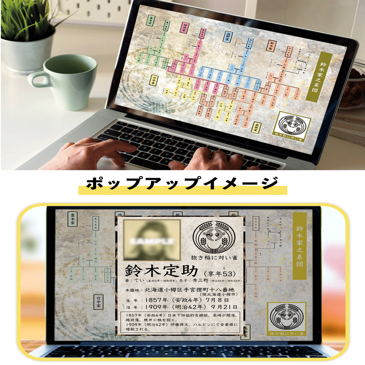 家系図10点セット』と『Option3』をご紹介｜大橋慶三