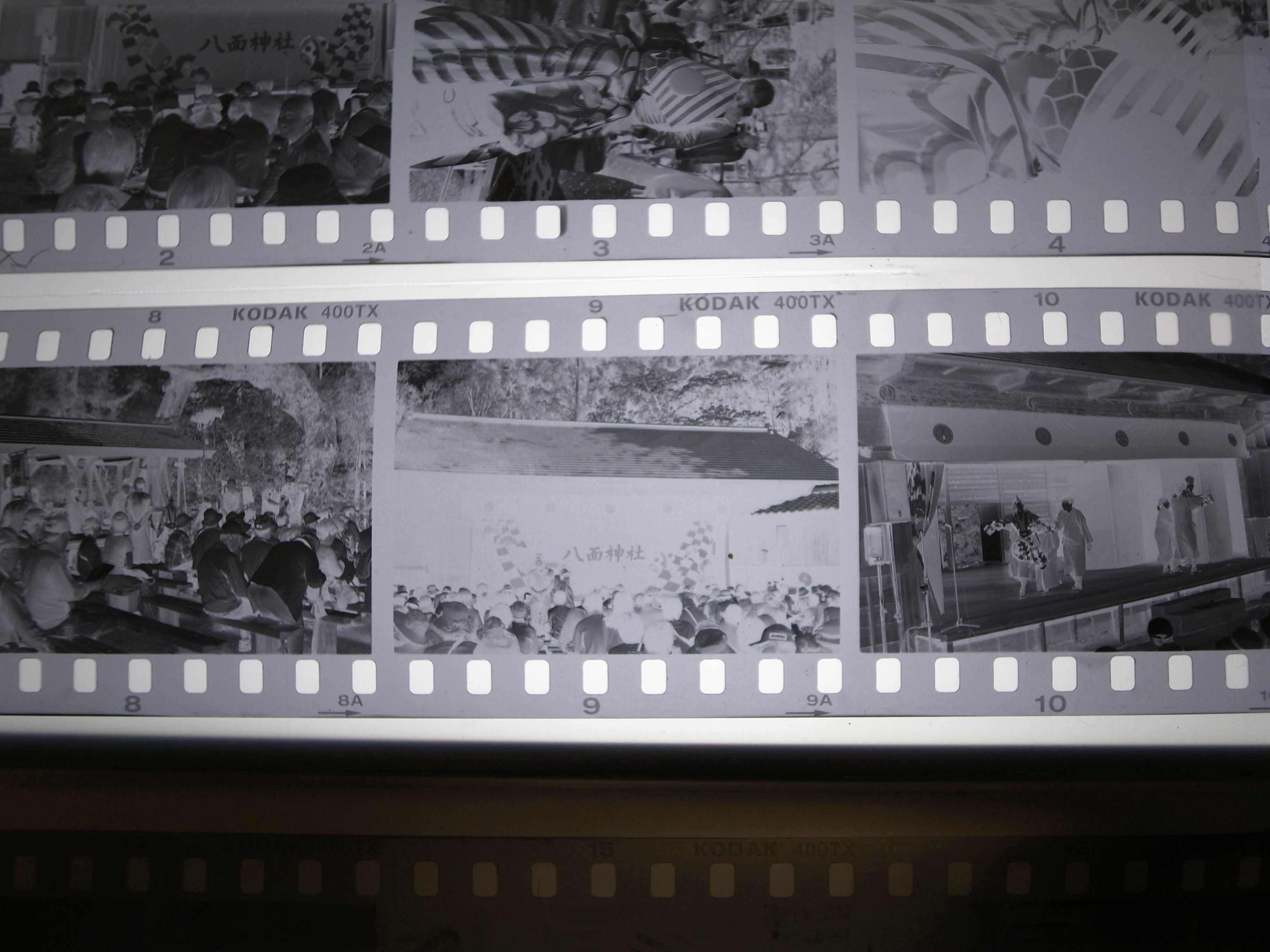 Kodak 400TX モノクロ　インスタント使い捨てカメラ　写るんです　五個❗️ Kodak 400TX モノクロ インスタント使い捨てカメラ 写るんです 五個❗️