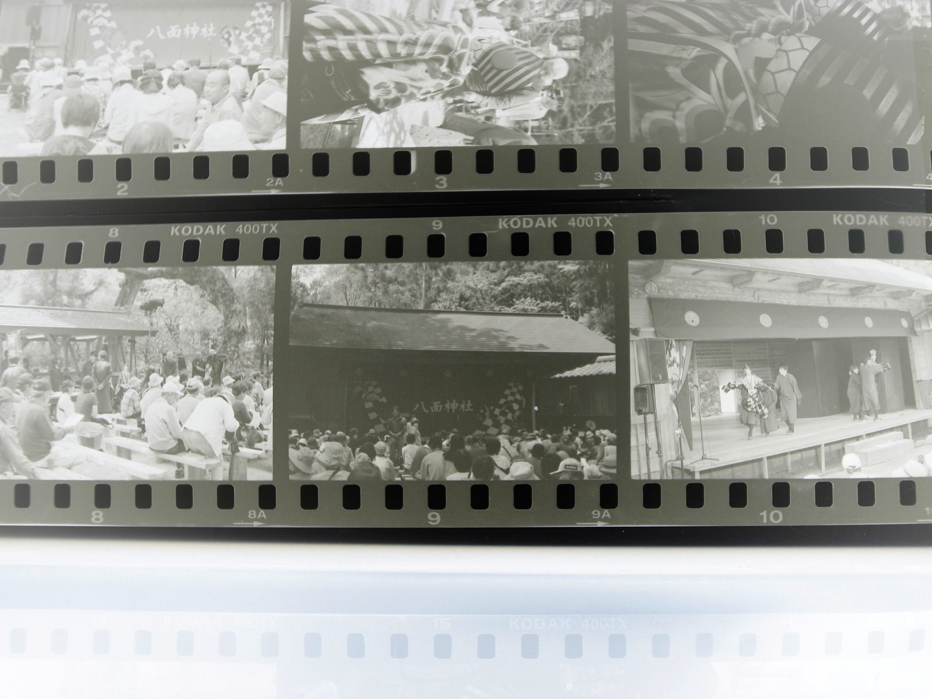 フィルム1ロール」全部見せます📷 Kodak 400TX 10/36｜いけだまなみ