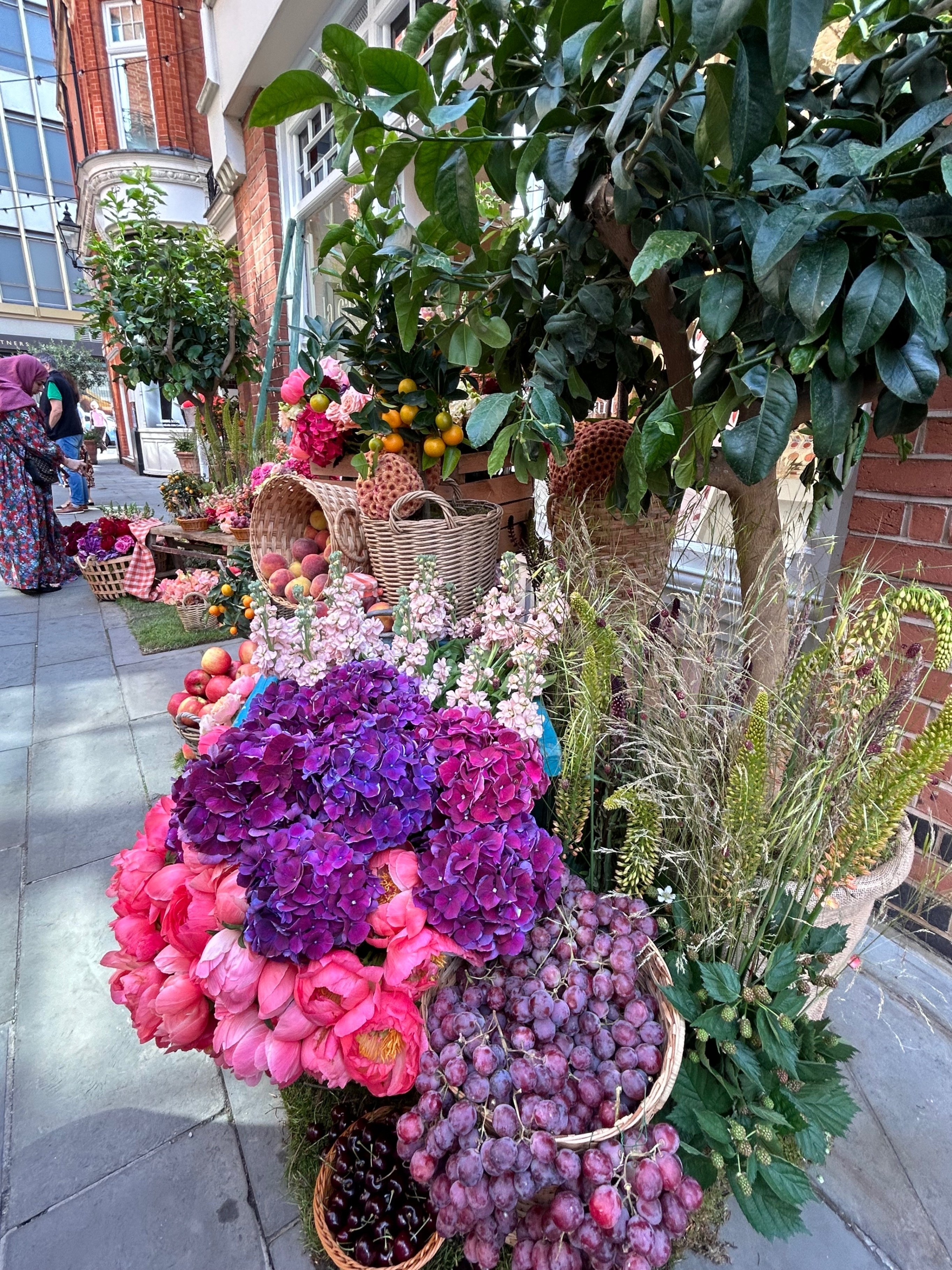 英国最古の花の祭典「チェルシー・フラワー・ショー💐」が開幕