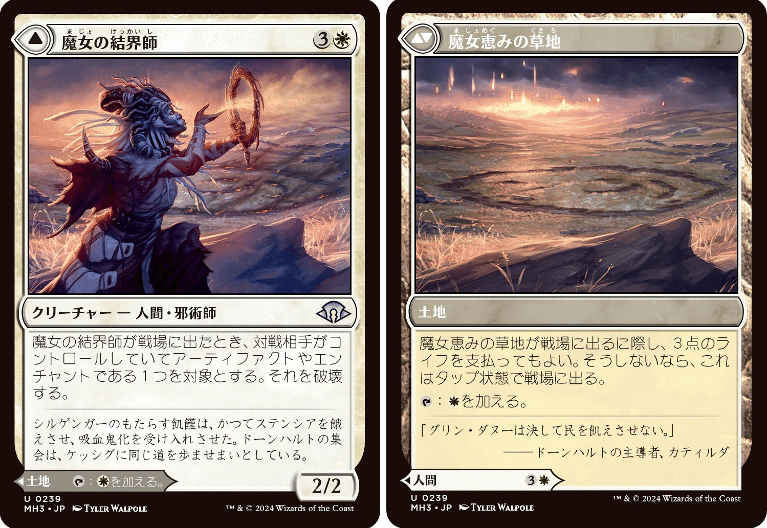 MTG 更新しました2 53862936-4380-4e22-9501-