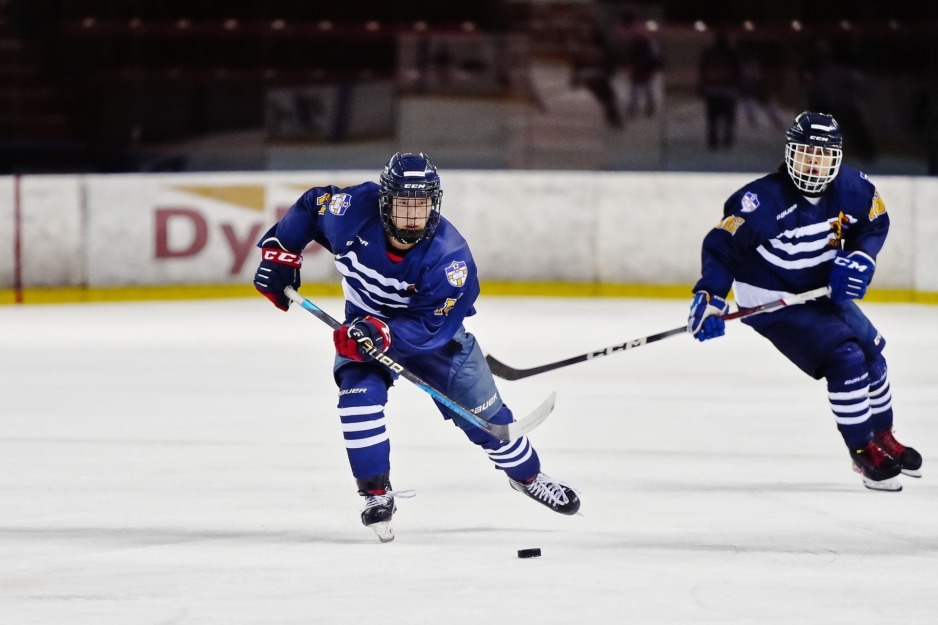 立教大学 9-5 東海大学 (2024/5/18)｜IceHockeyStream
