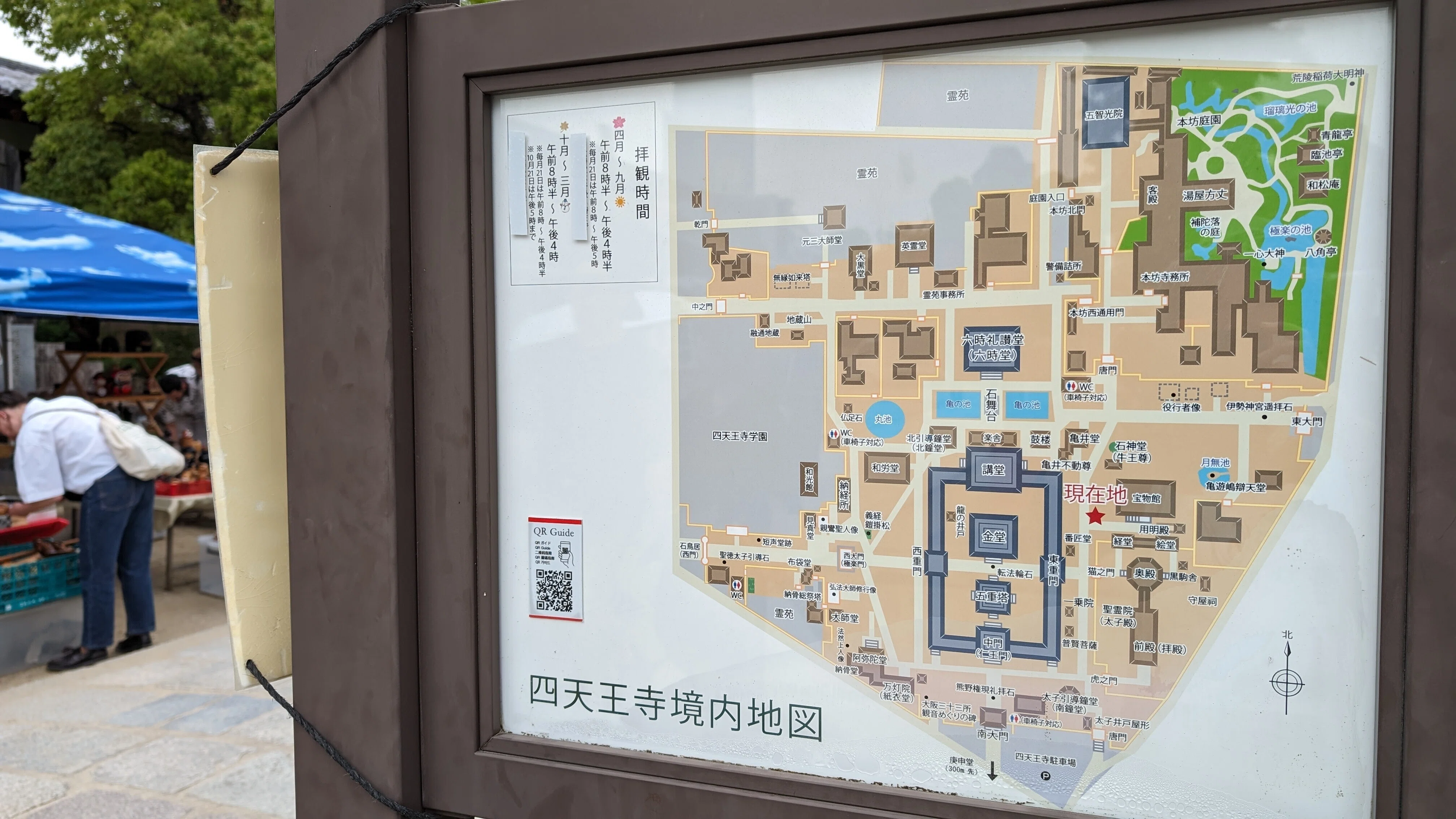 大阪・四天王寺・絵堂 【聖徳太子の一代記】｜藤井 靜子