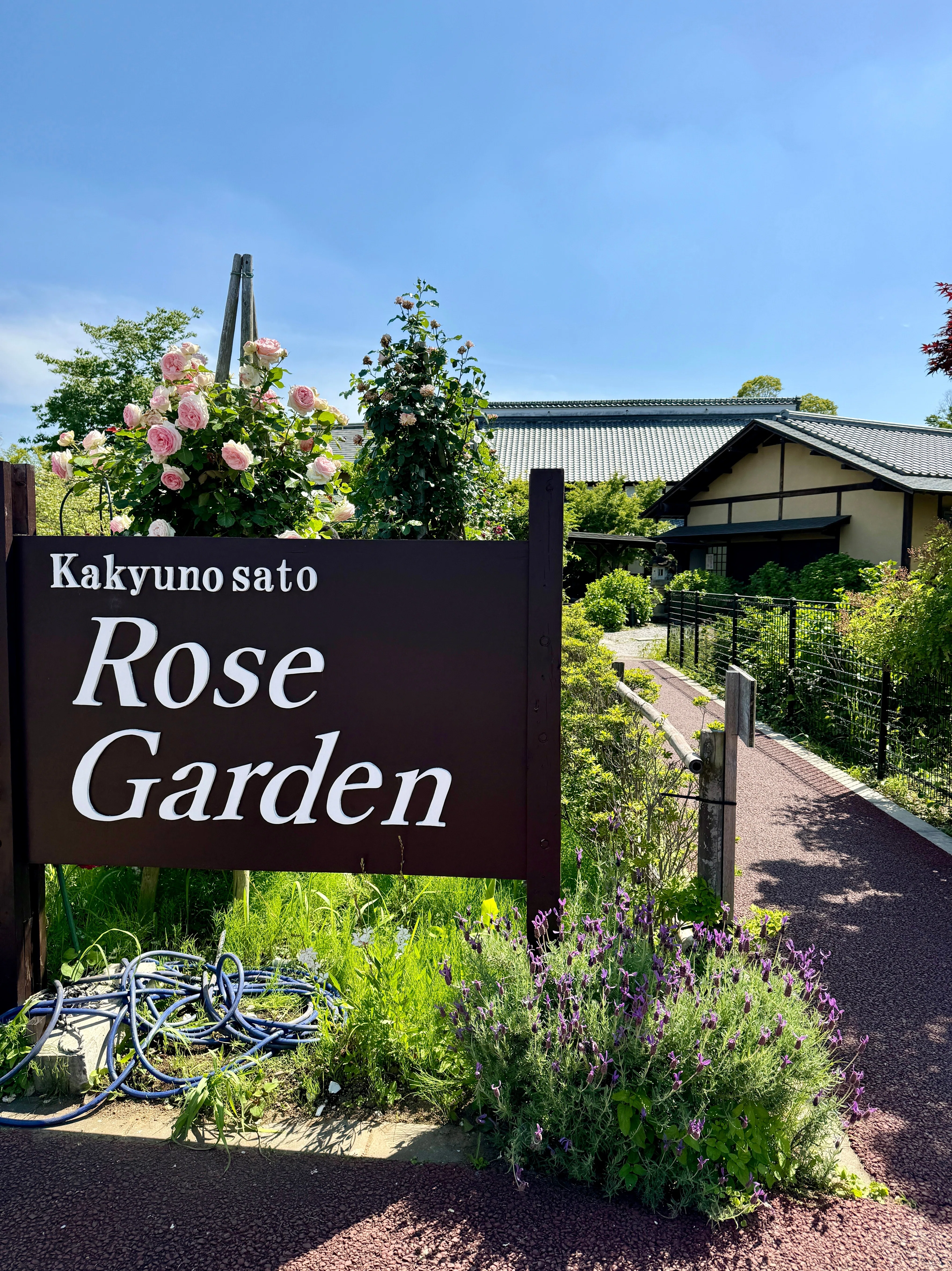 薔薇づくし 無料とは思えない薔薇咲き乱れる旧家の庭園｜Bun bun