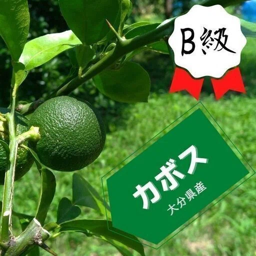 タカミヤカボスのかぼす｜タカミヤカボス