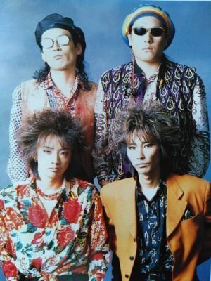 The Street Sliders Rock'n'Roll Chronicle（ザ・ストリート・ス