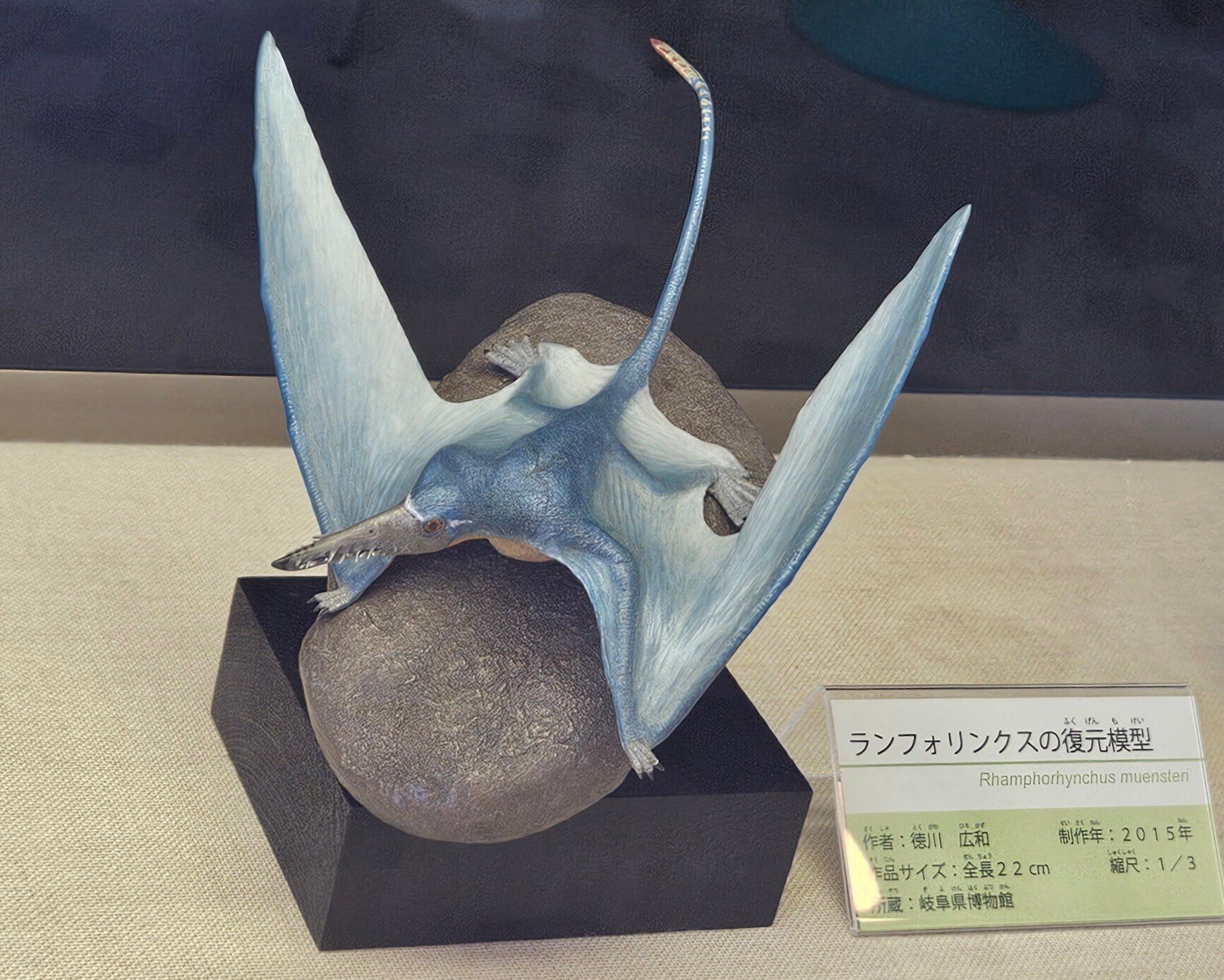 レア！！翼竜　プテラノドンの骨化石　約65mm 恐竜プテラノドン 翼竜 化石 発掘 骨格組立キット