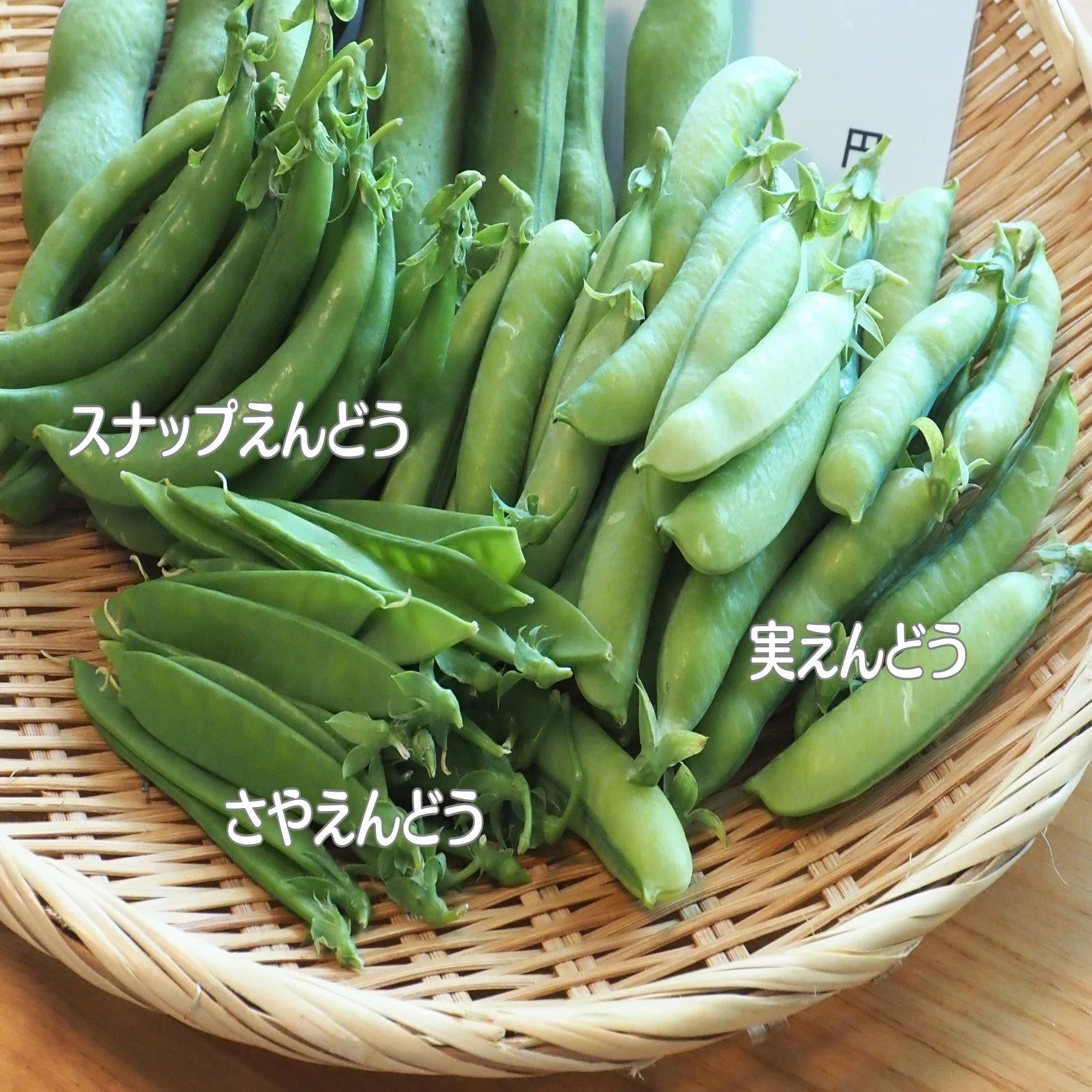 旬を楽しもう！実えんどうで美味しい豆ごはん｜生駒市公式note