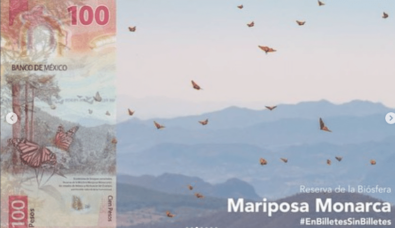 メキシコの通貨｜在日メキシコ大使館